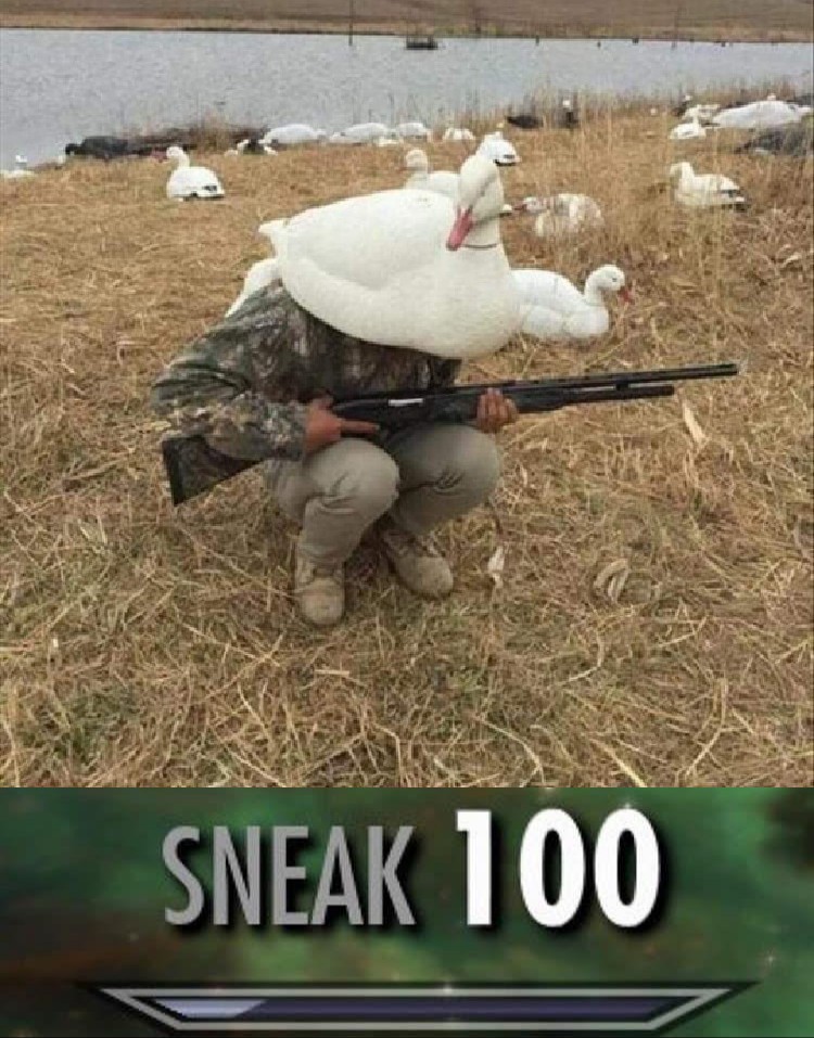 Master of Disguise memes