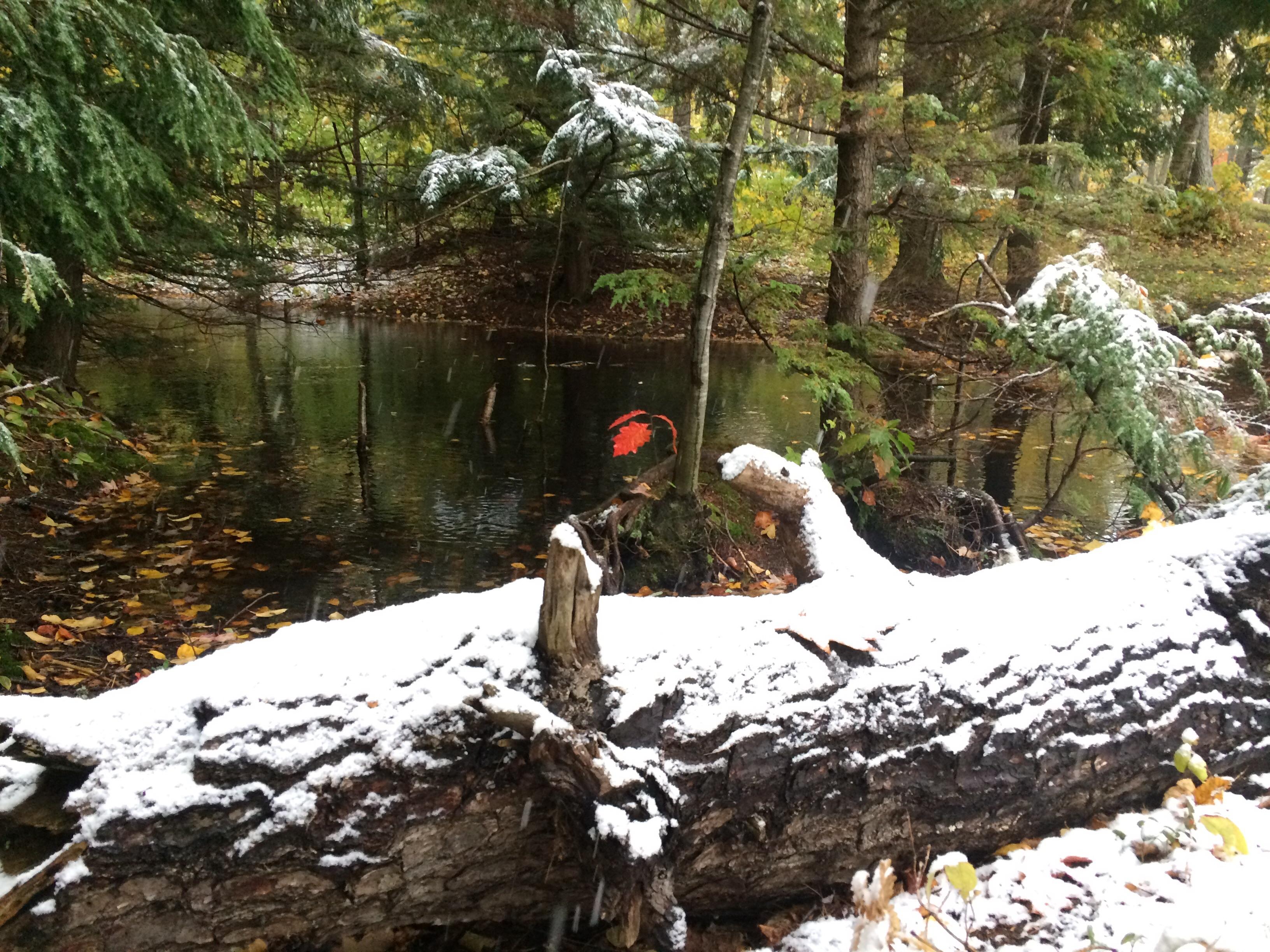 First Snow at Perrault Lake, Mi (3264 × 2448) r/EarthPorn