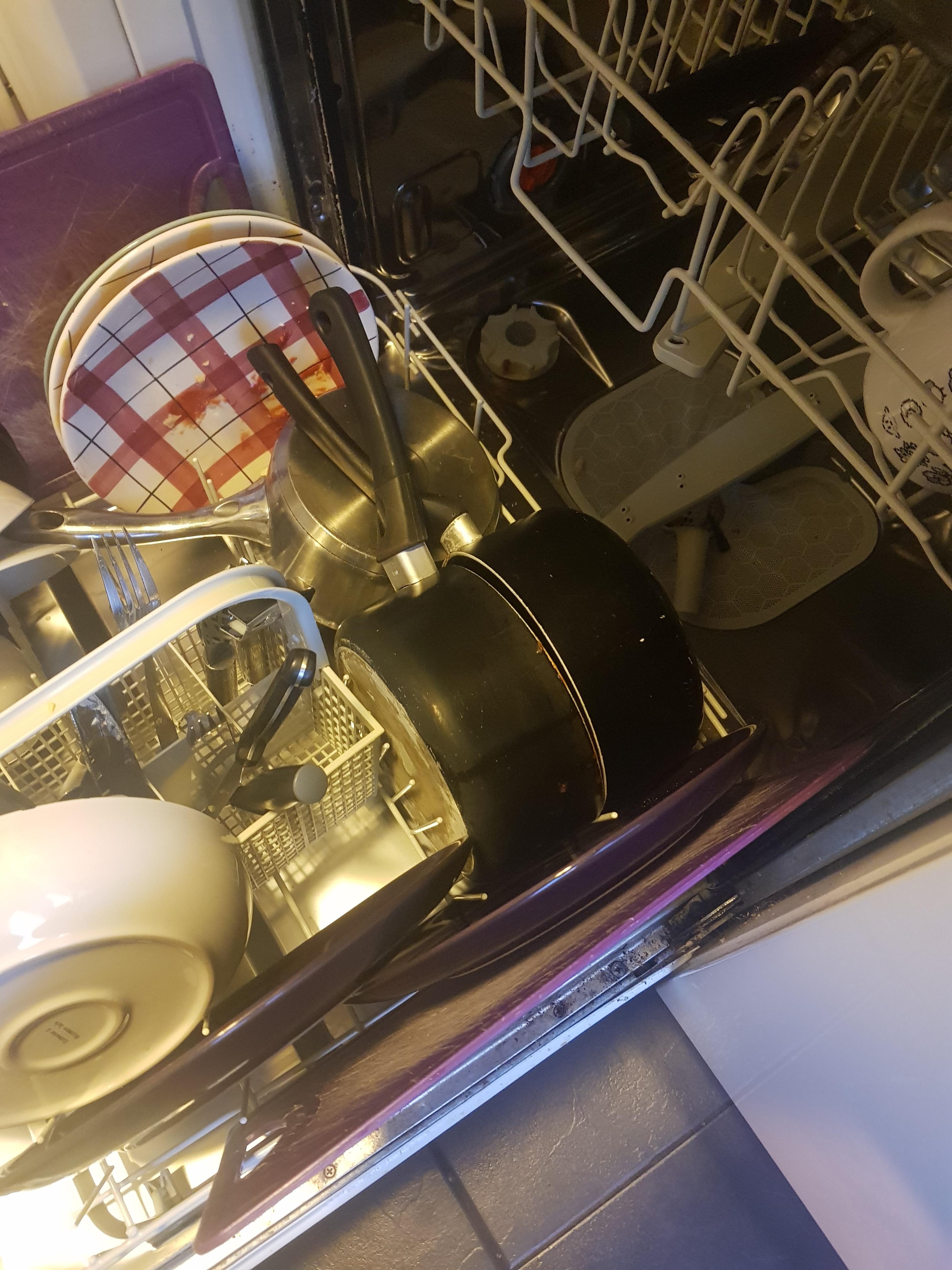 My housemate does not understand how a dishwasher works. r