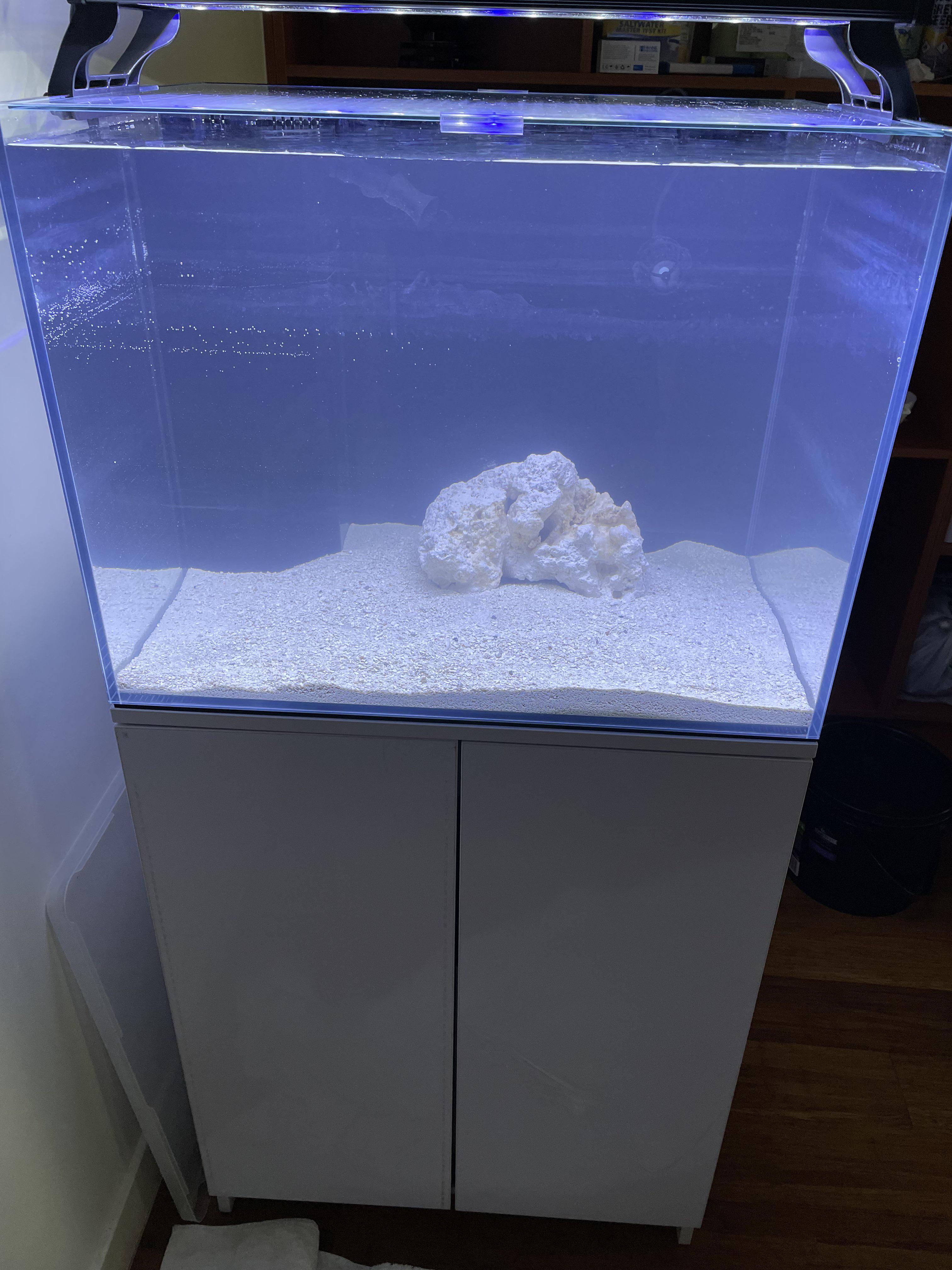 Starting to cycle my first saltwater tank! I can't wait to get a pair
