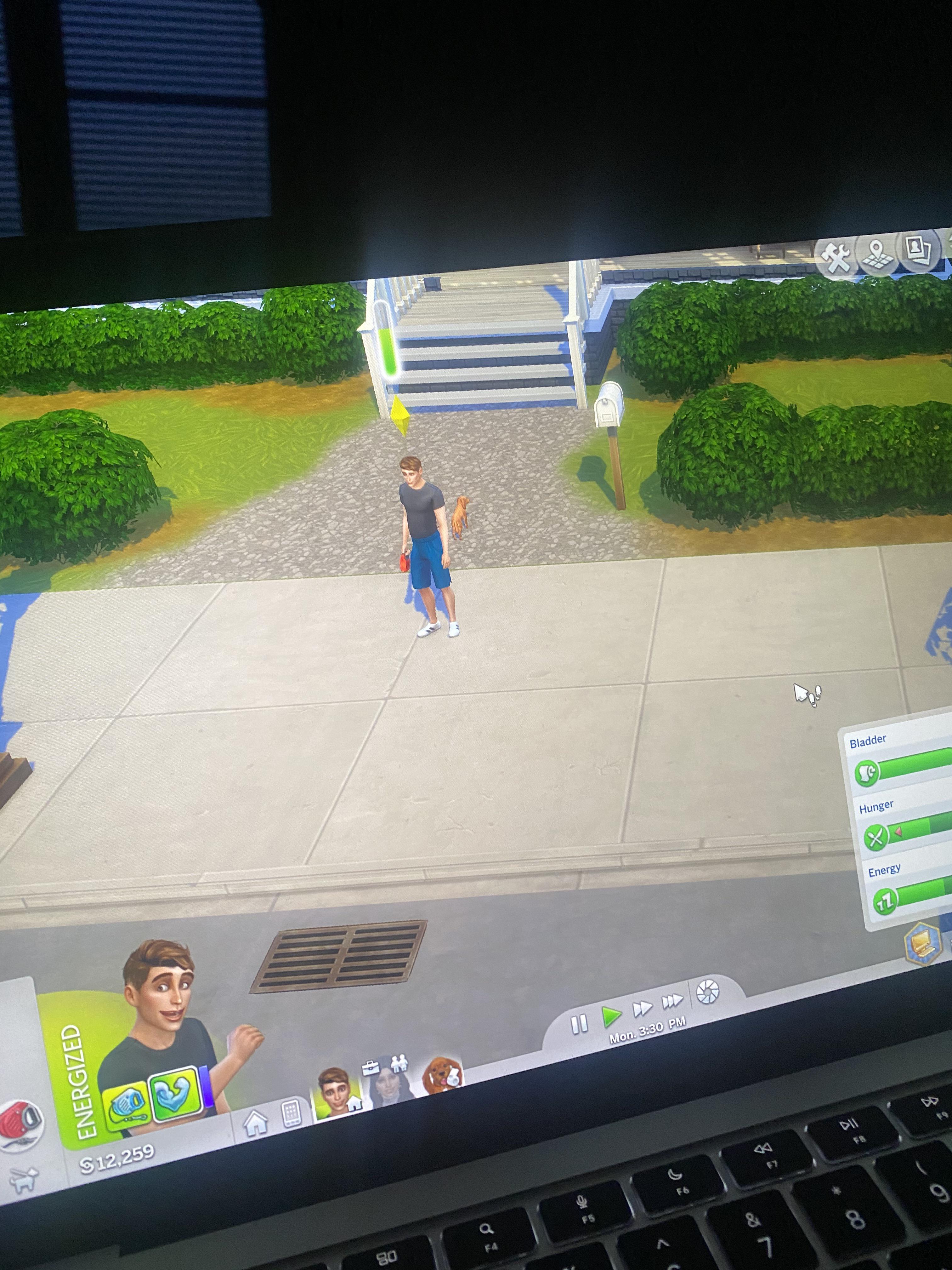 my sim won’t take my dog on a walk? he just stands there r/thesims4