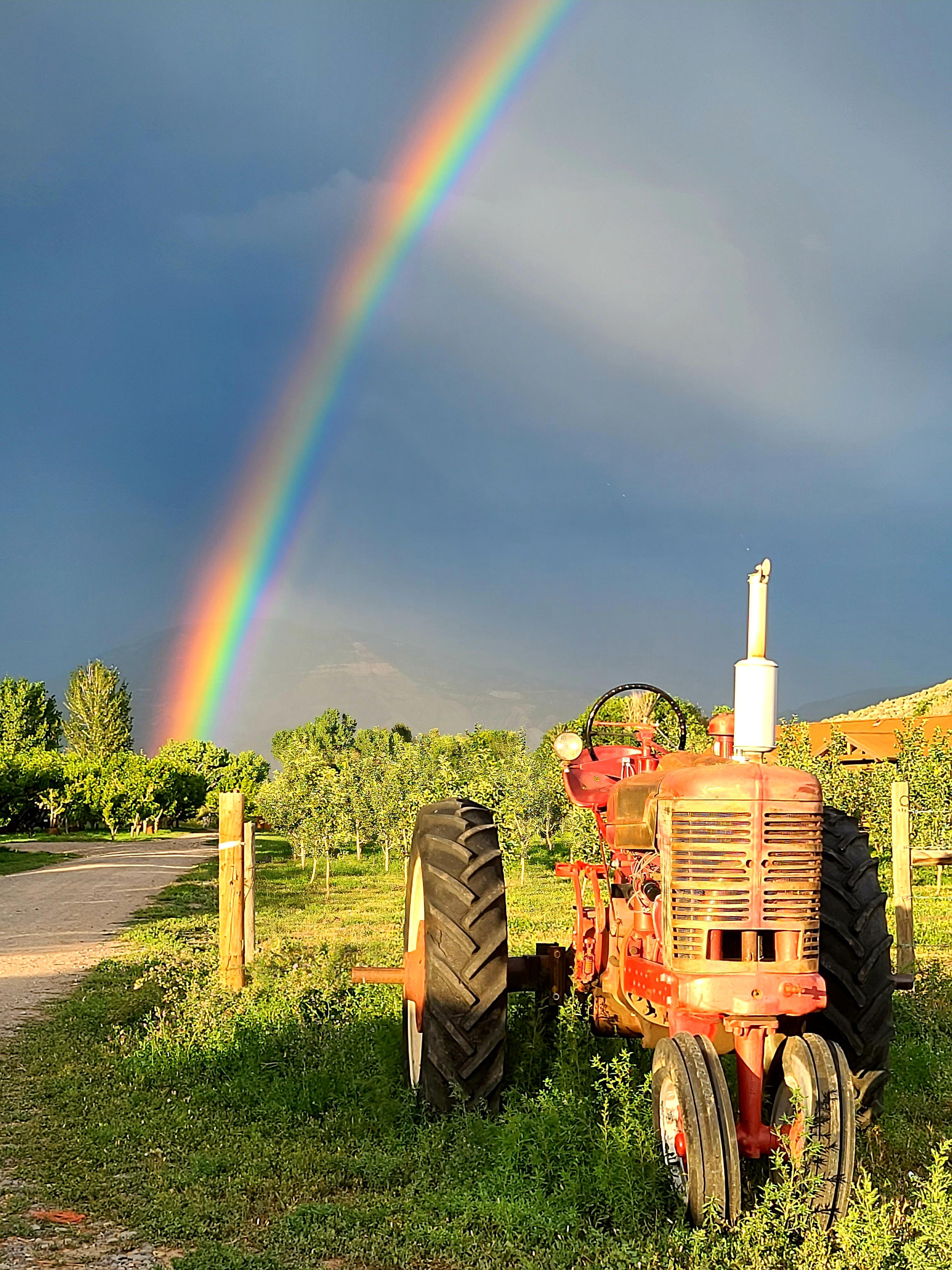 Hotchkiss, CO r/Colorado