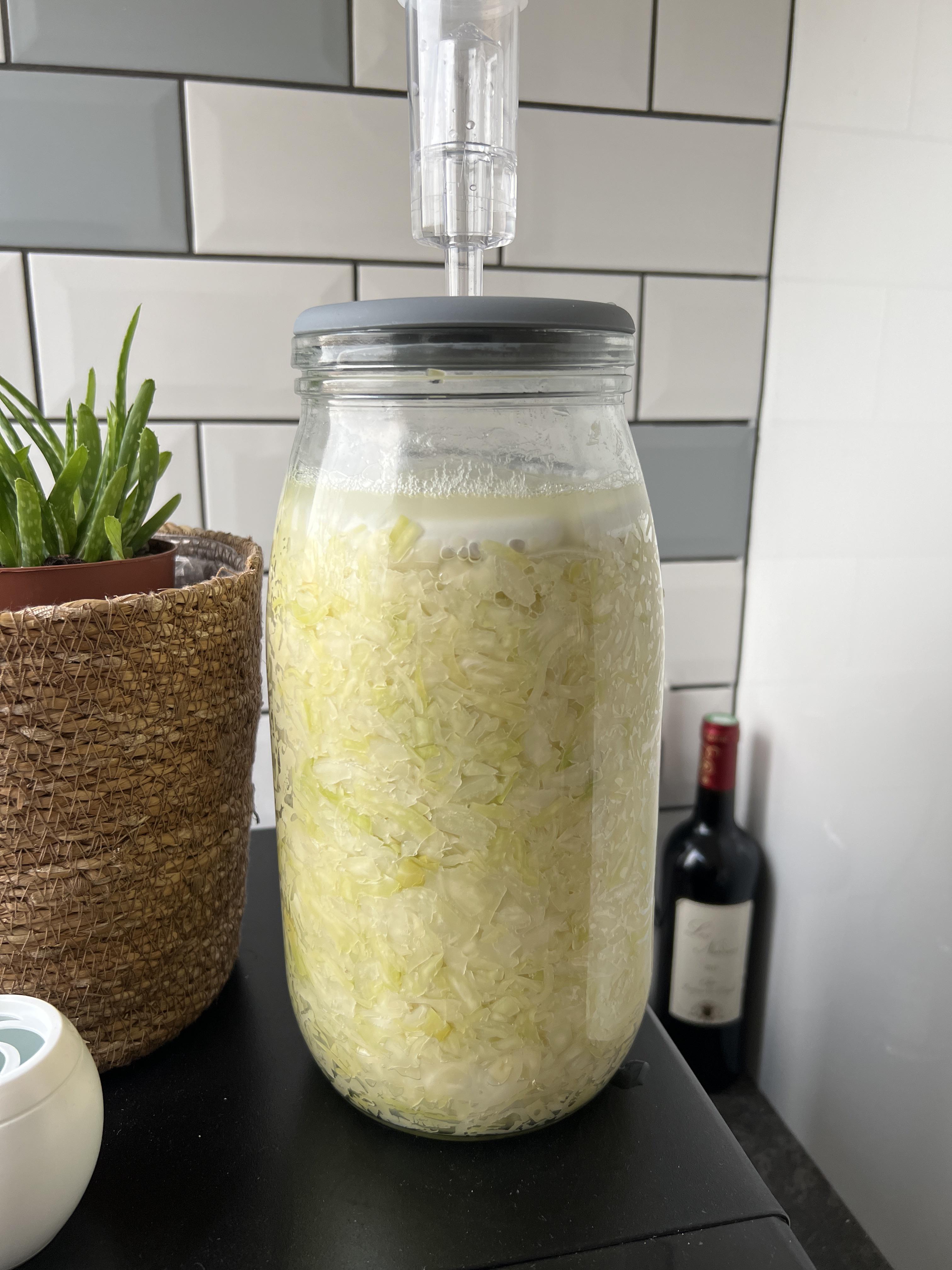 Sauerkraut smells like eggs. Is this normal after 4 days? r/fermentation