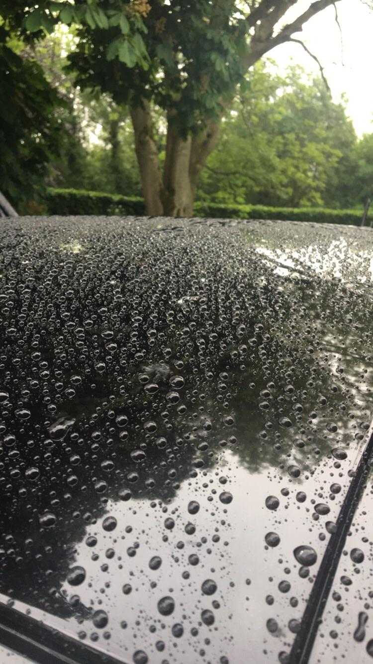 How rain sits on a freshly waxed car r/oddlysatisfying