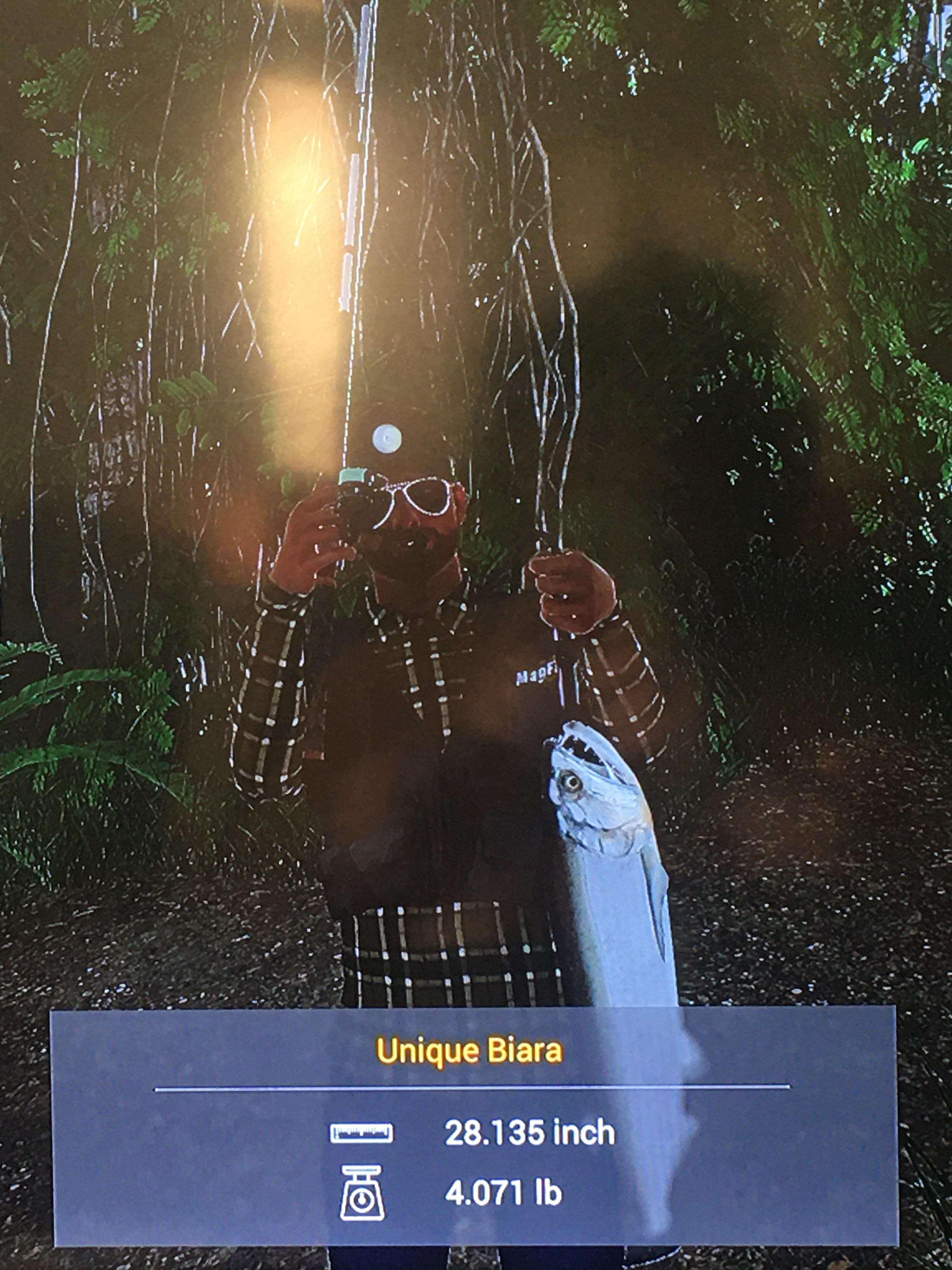 My biggest Biara caught in the Amazonian maze, got a new fav fishing