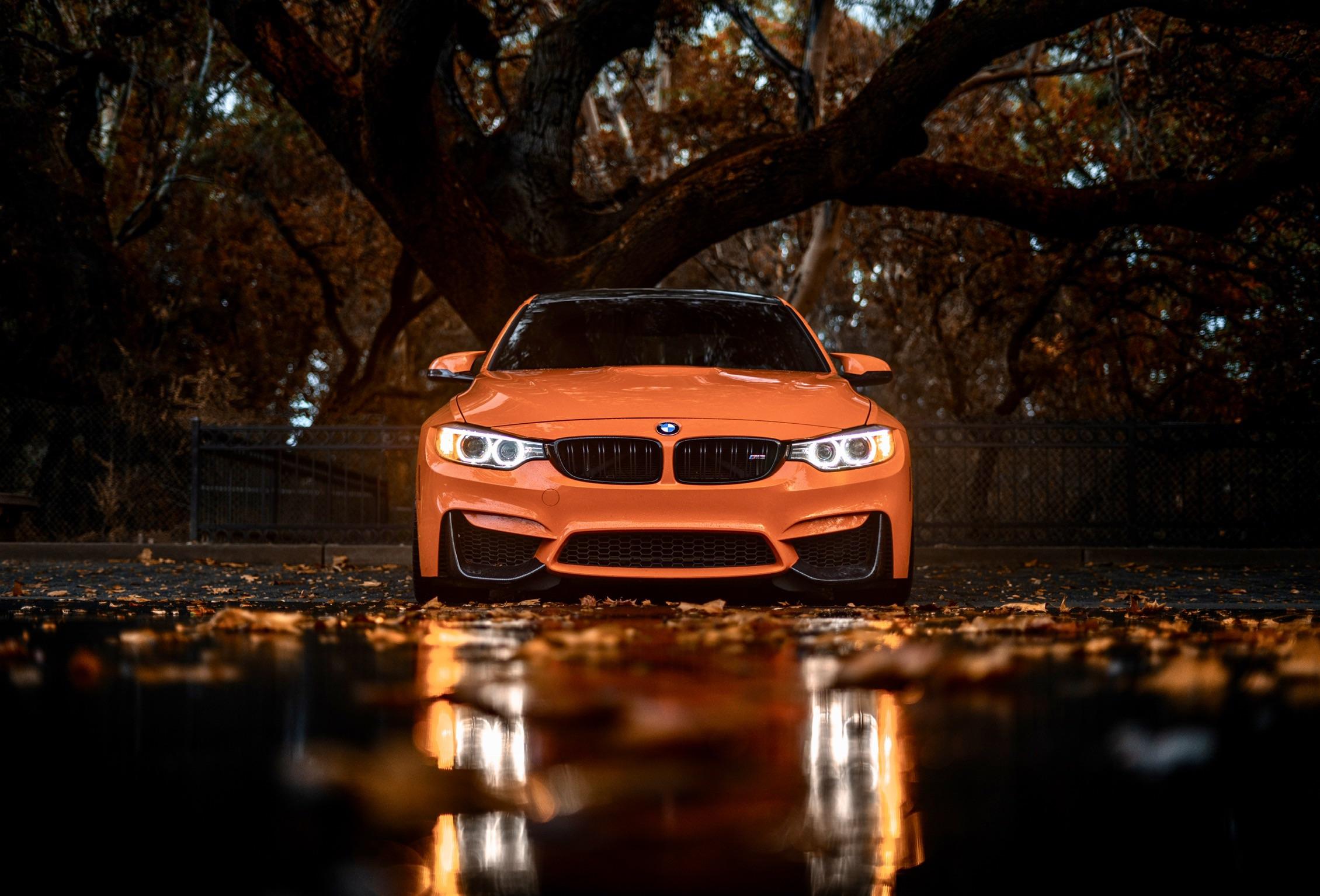 Fall breeze autumn leaves 🍁 r/BMW