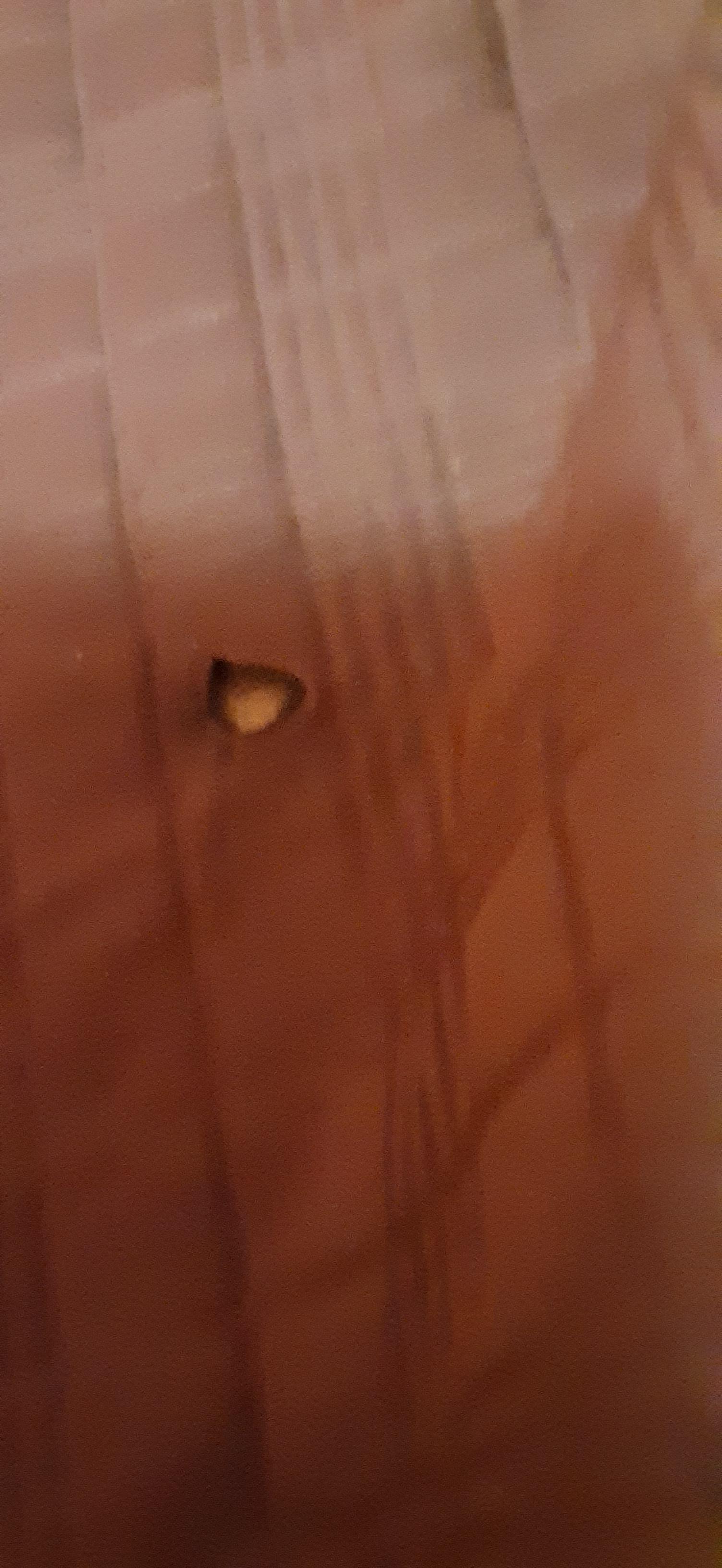 Burned a hole in my bedding smoking, sitting there wondering why I was