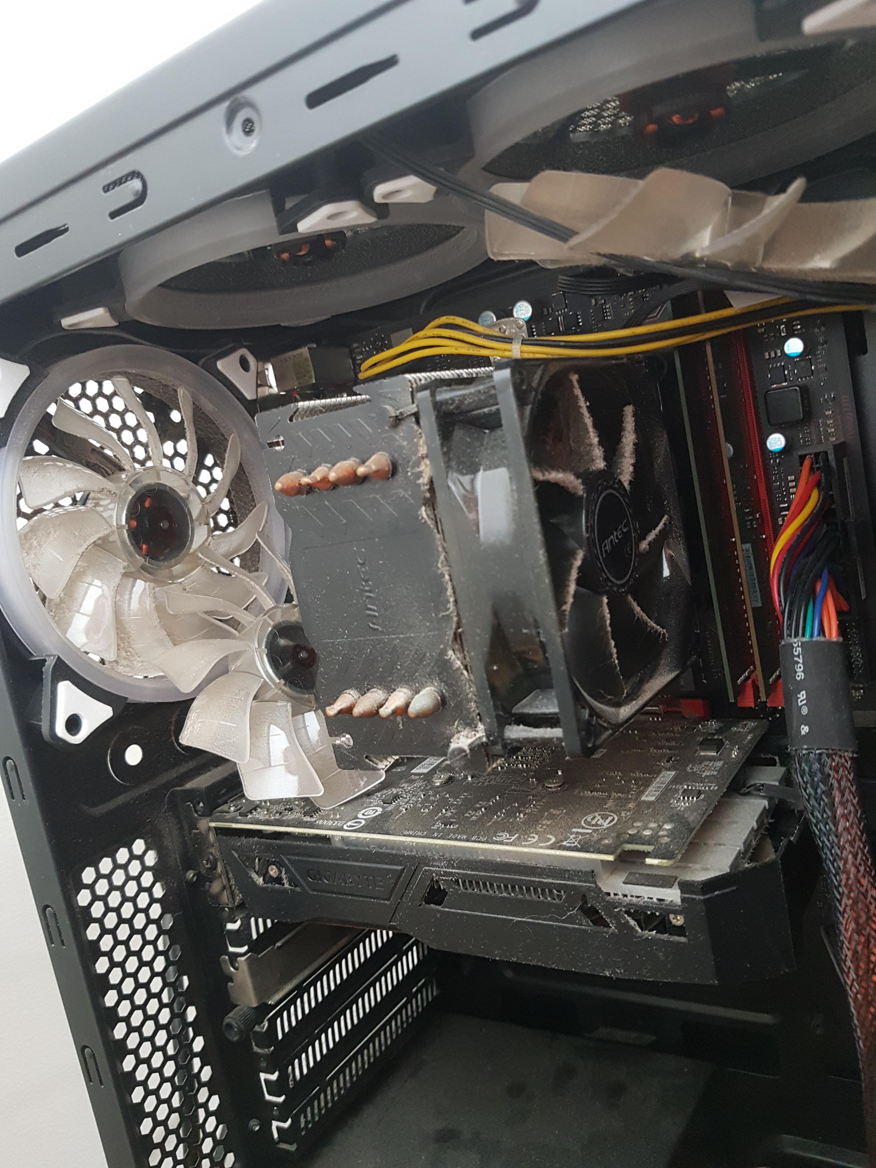 Opened case for the first time in a few months to find this. Lesson