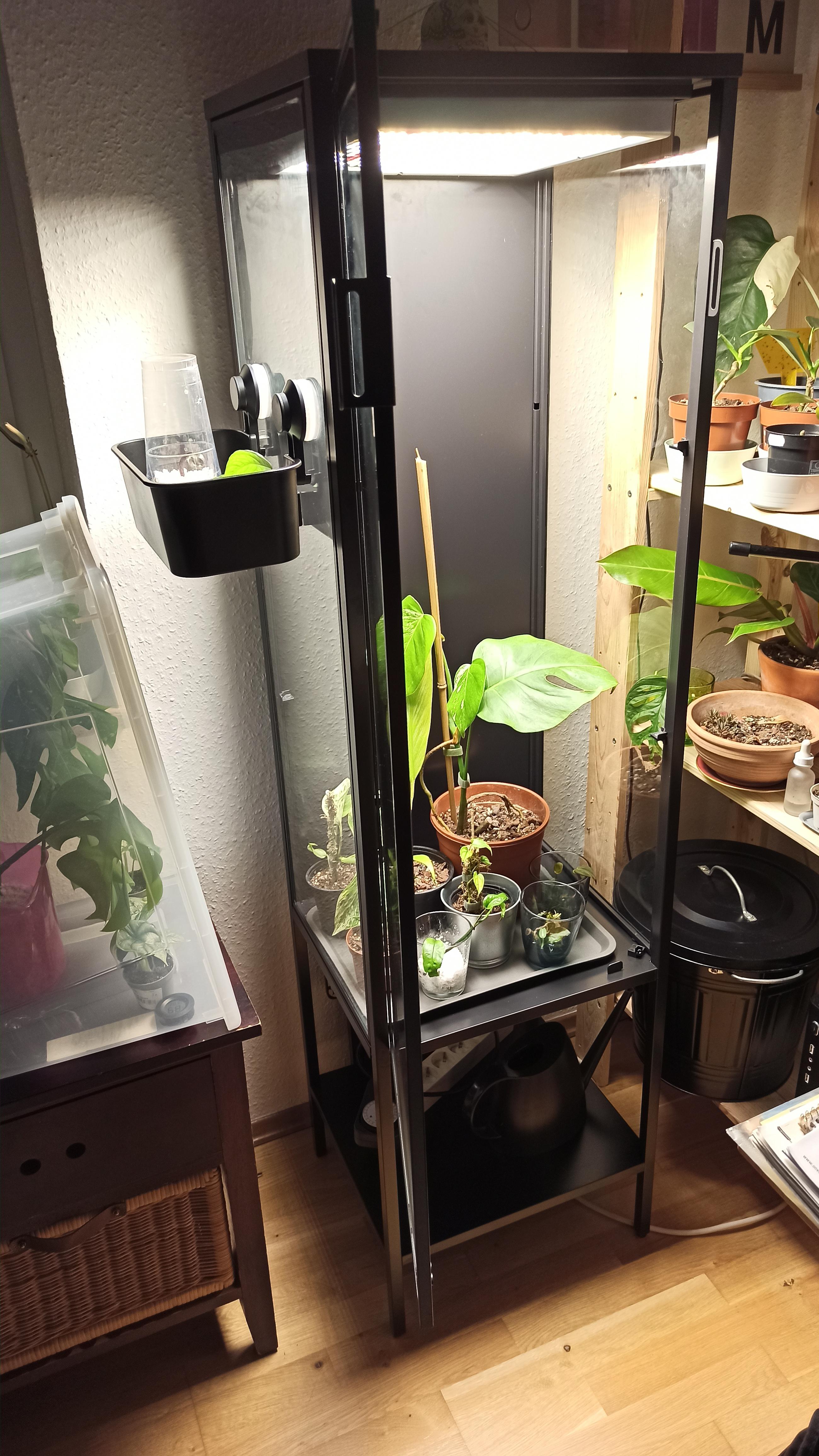 Taking my rudsta wide to the next level acrylic shelves in the UK