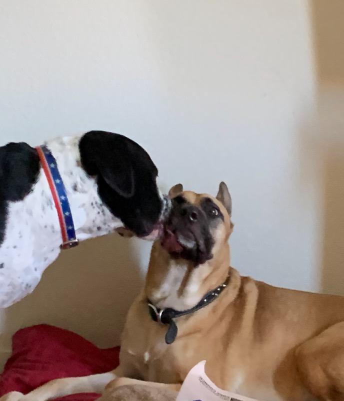 You got something on yout face, Jerome. Let me get it for you. r