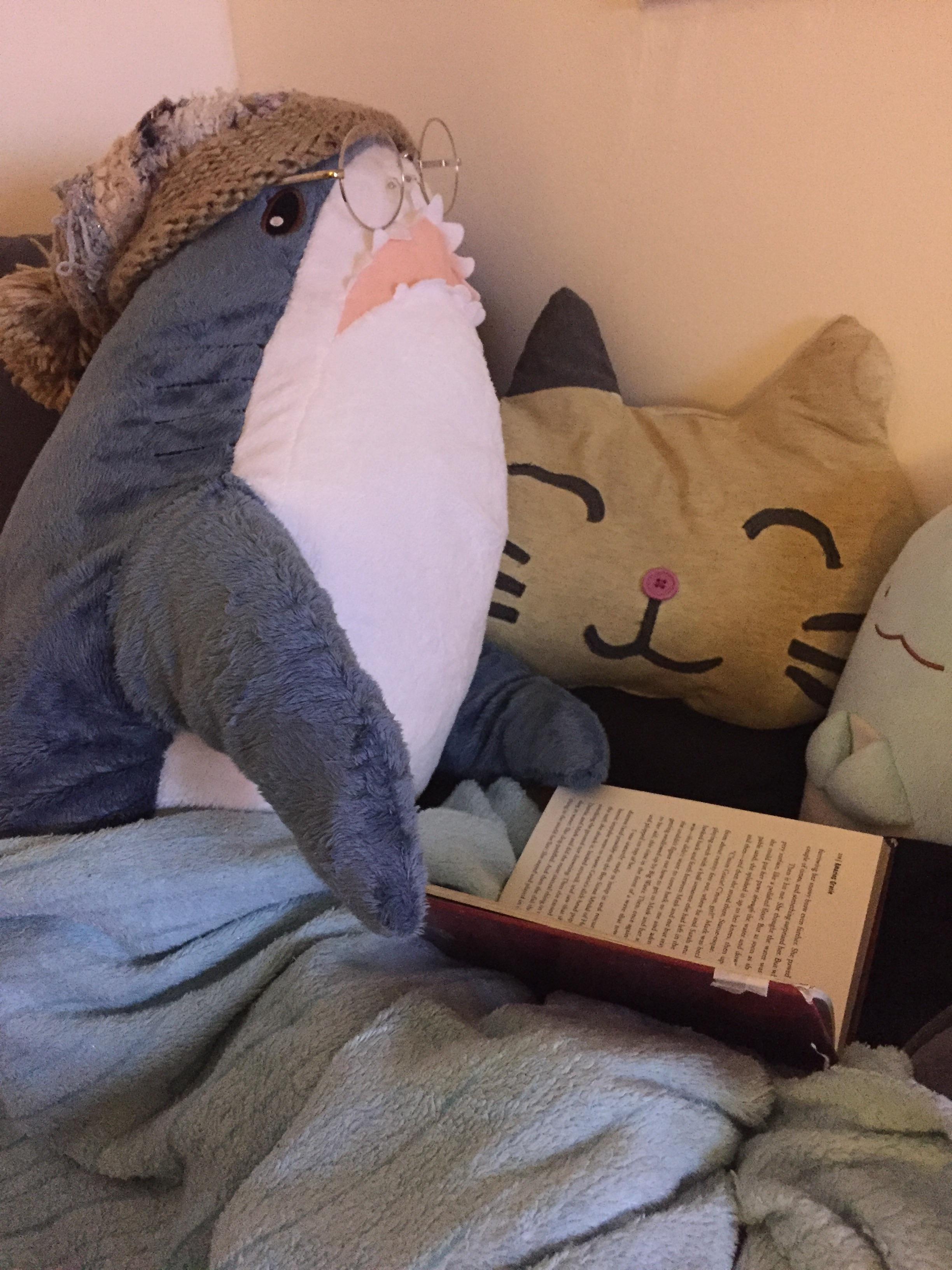 Some reading before bed r/BLAHAJ