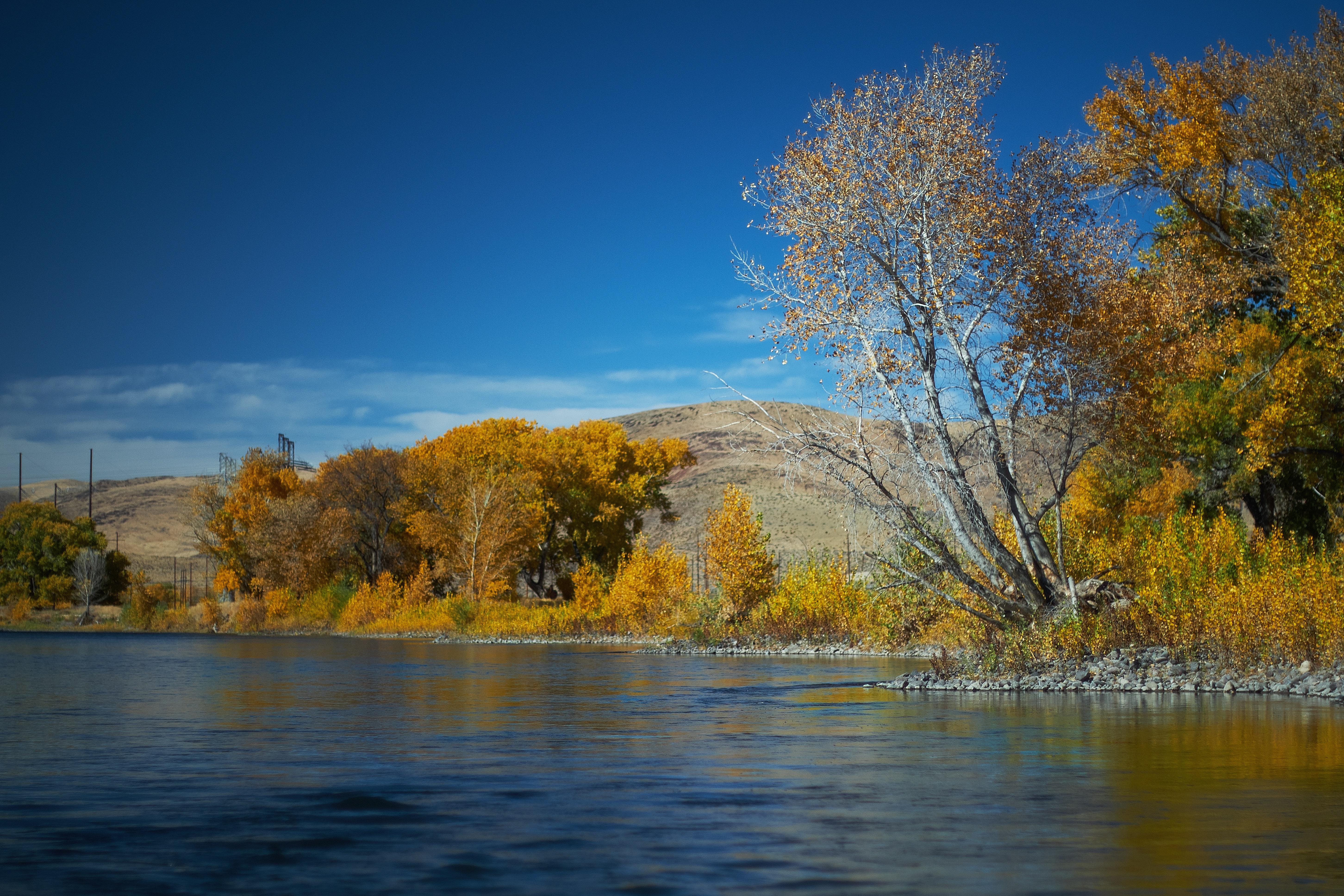 Fall in Northern Nevada [5807x3871] r/EarthPorn