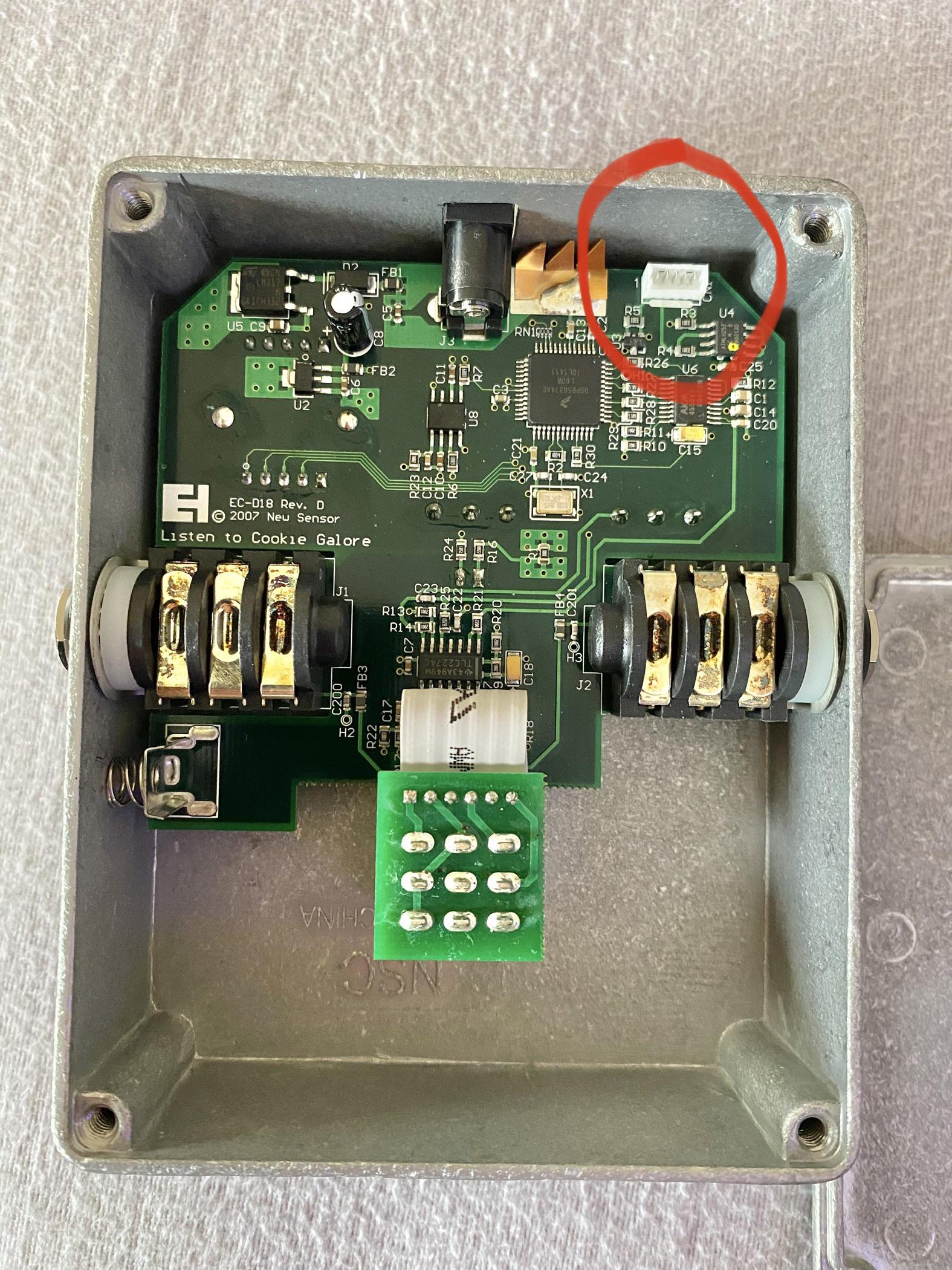 EHX Holy Grail Plus: Does anyone else have this connector unplugged? If