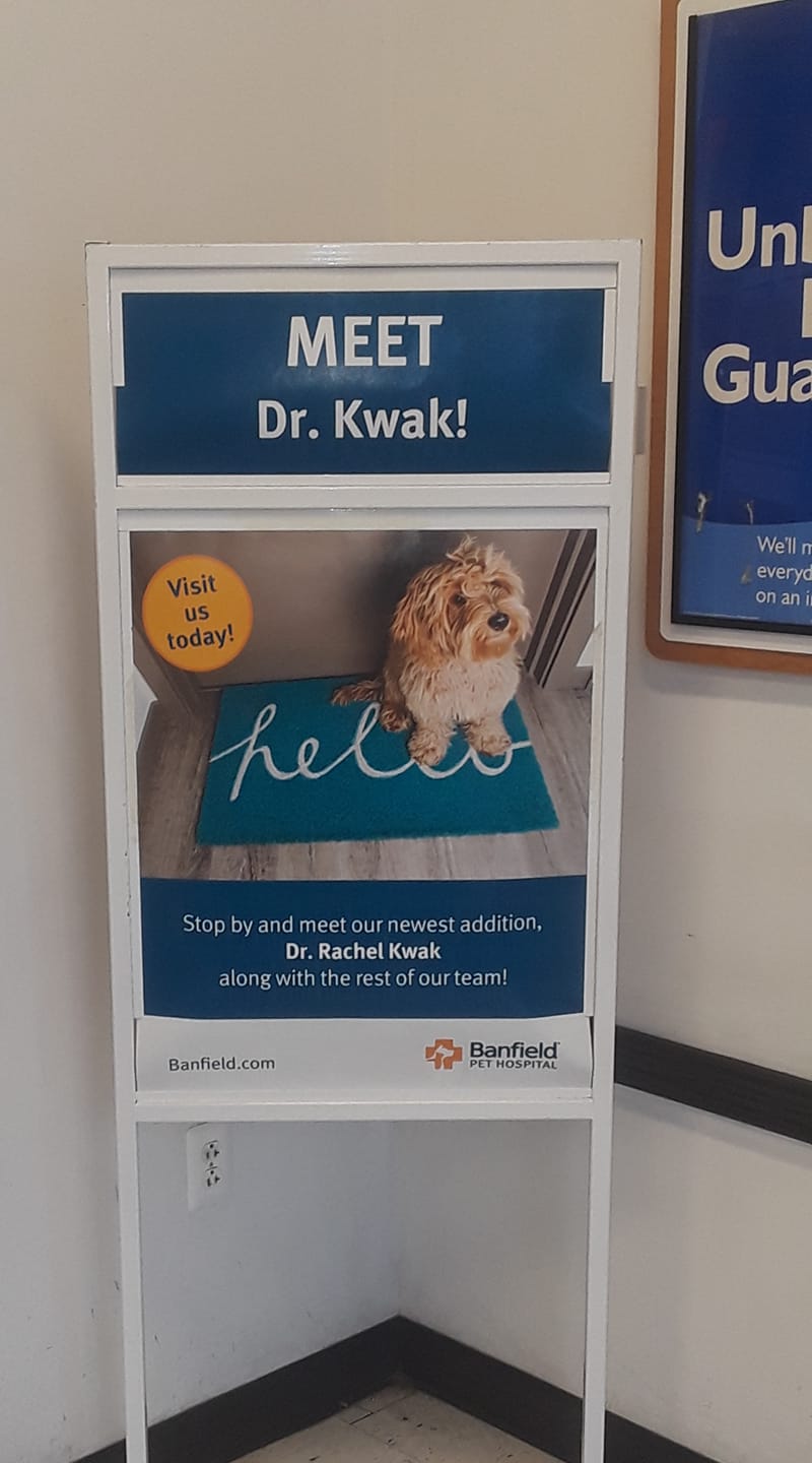 Meet the new vet at our local Petsmart r/signs