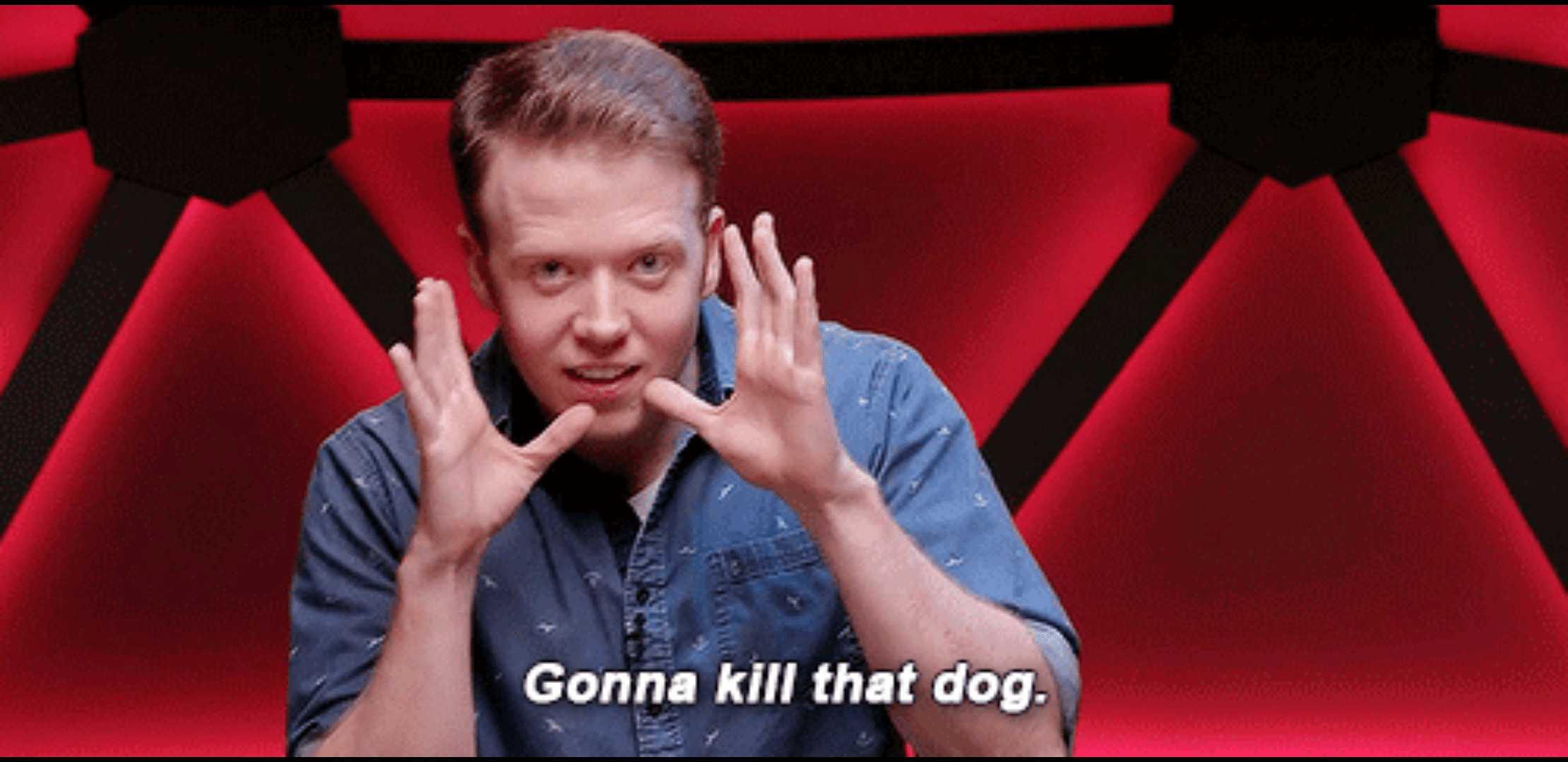 For when you need to kill that dog r/InsiderMemeTrading