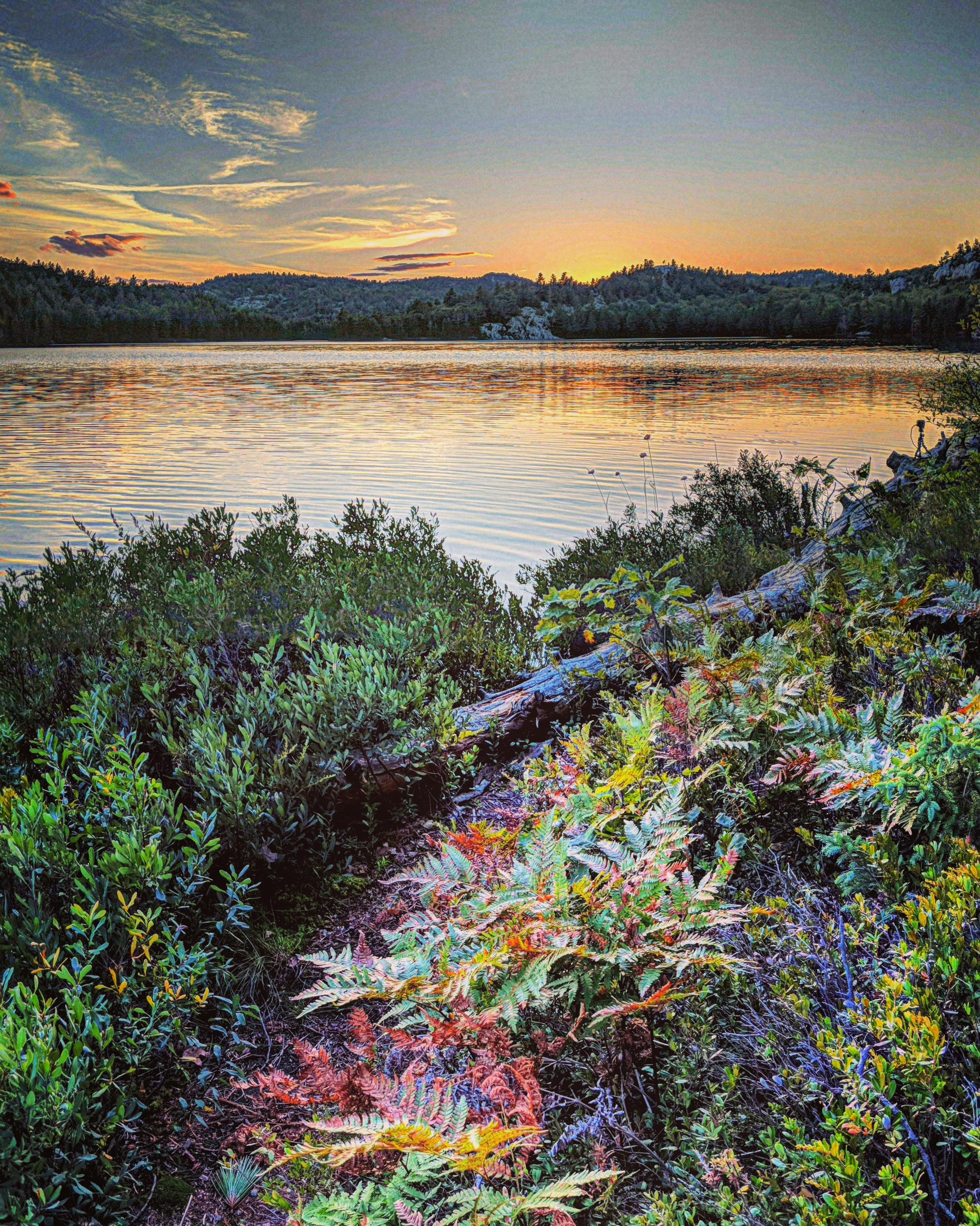 Kickin' it Nellie Lake in Killarney Provincial Park r/camping