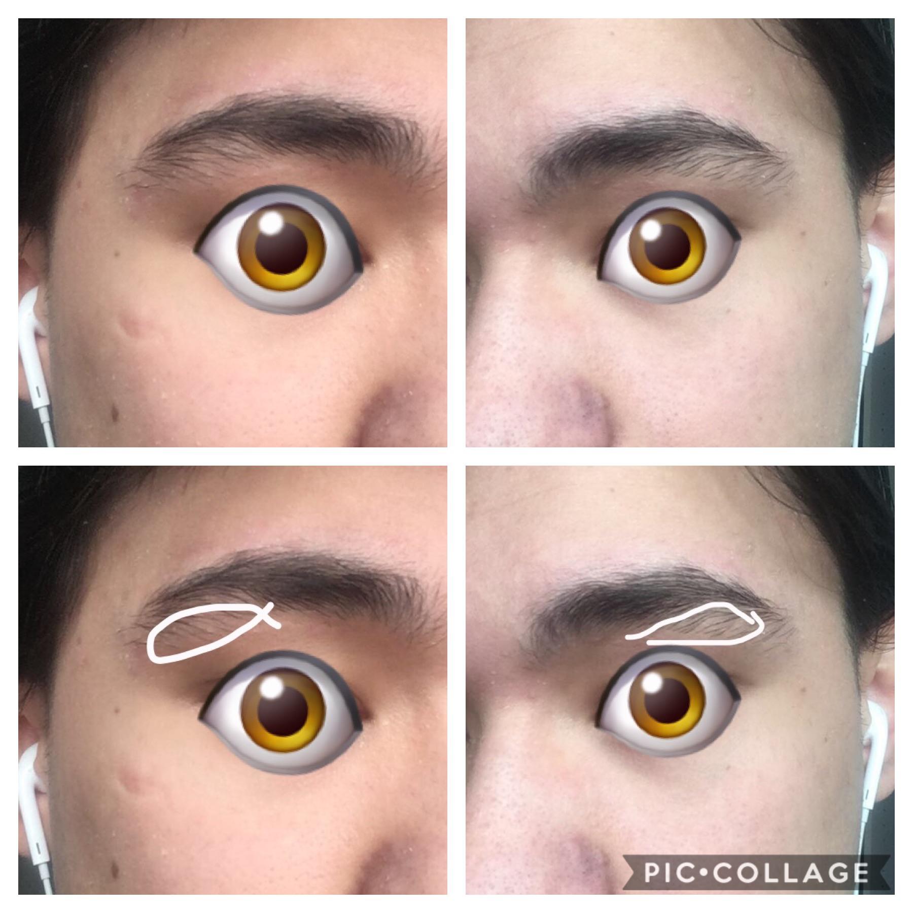 Should I pluck my eyebrows? r/Eyebrows