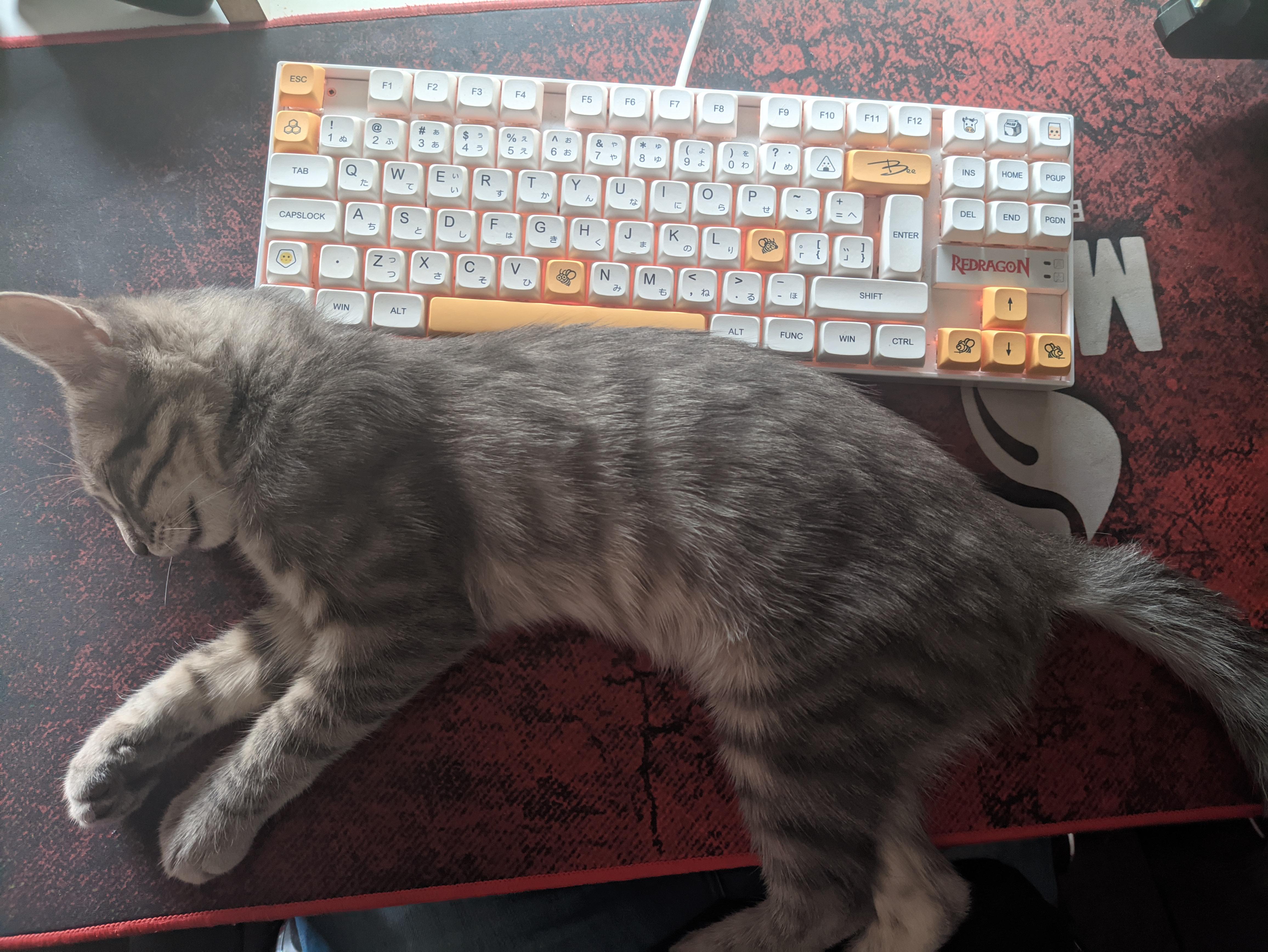 Best wrist rest i've had so far. 10/10 r/MechanicalKeyboards