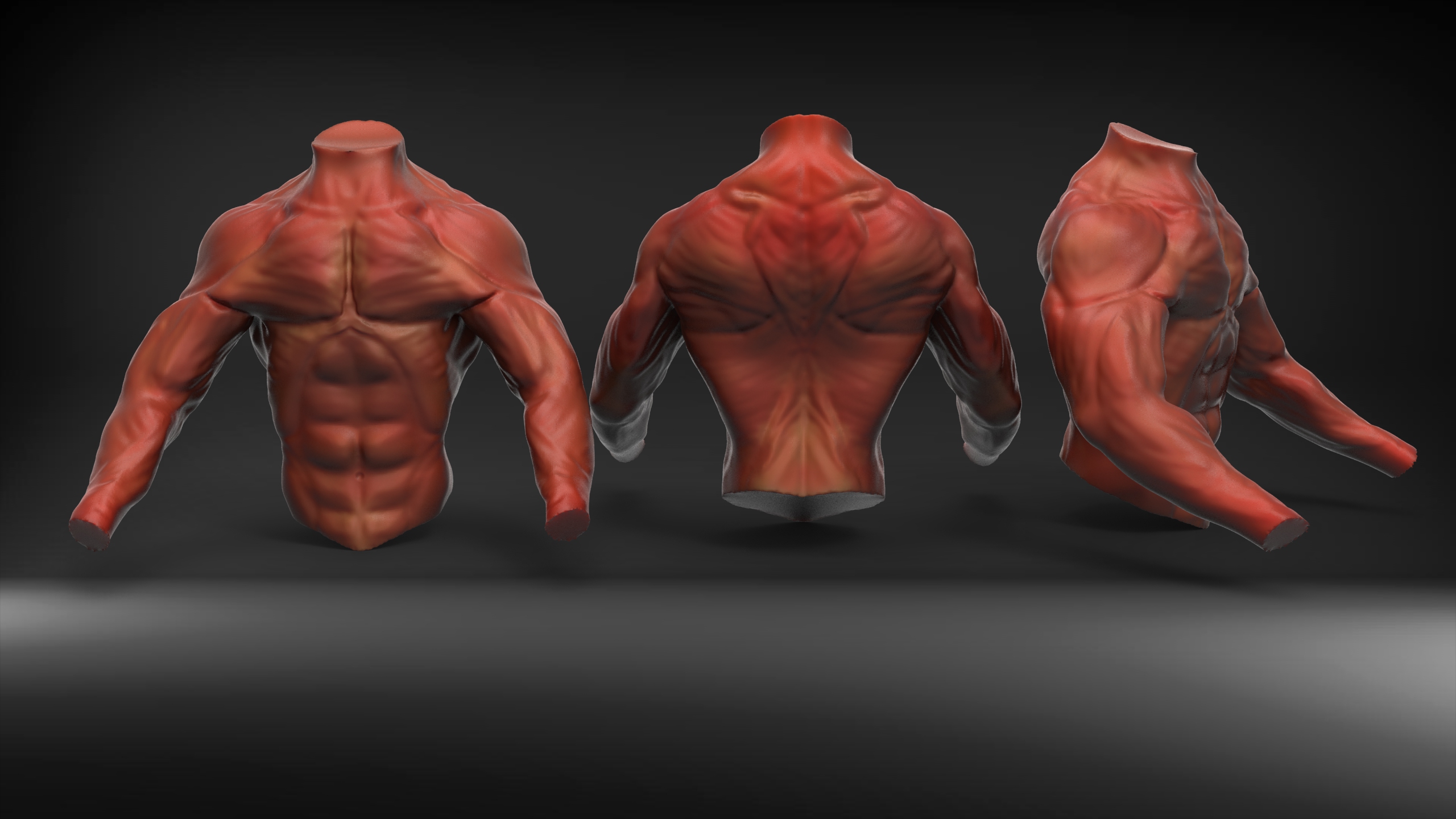 Learning Anatomy Series.. 2 ZBrush