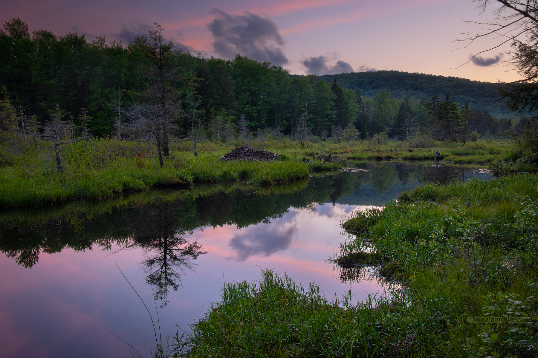 Beaver pond in Canaan Valley, West Virginia [OC] [1800x1200] r/EarthPorn