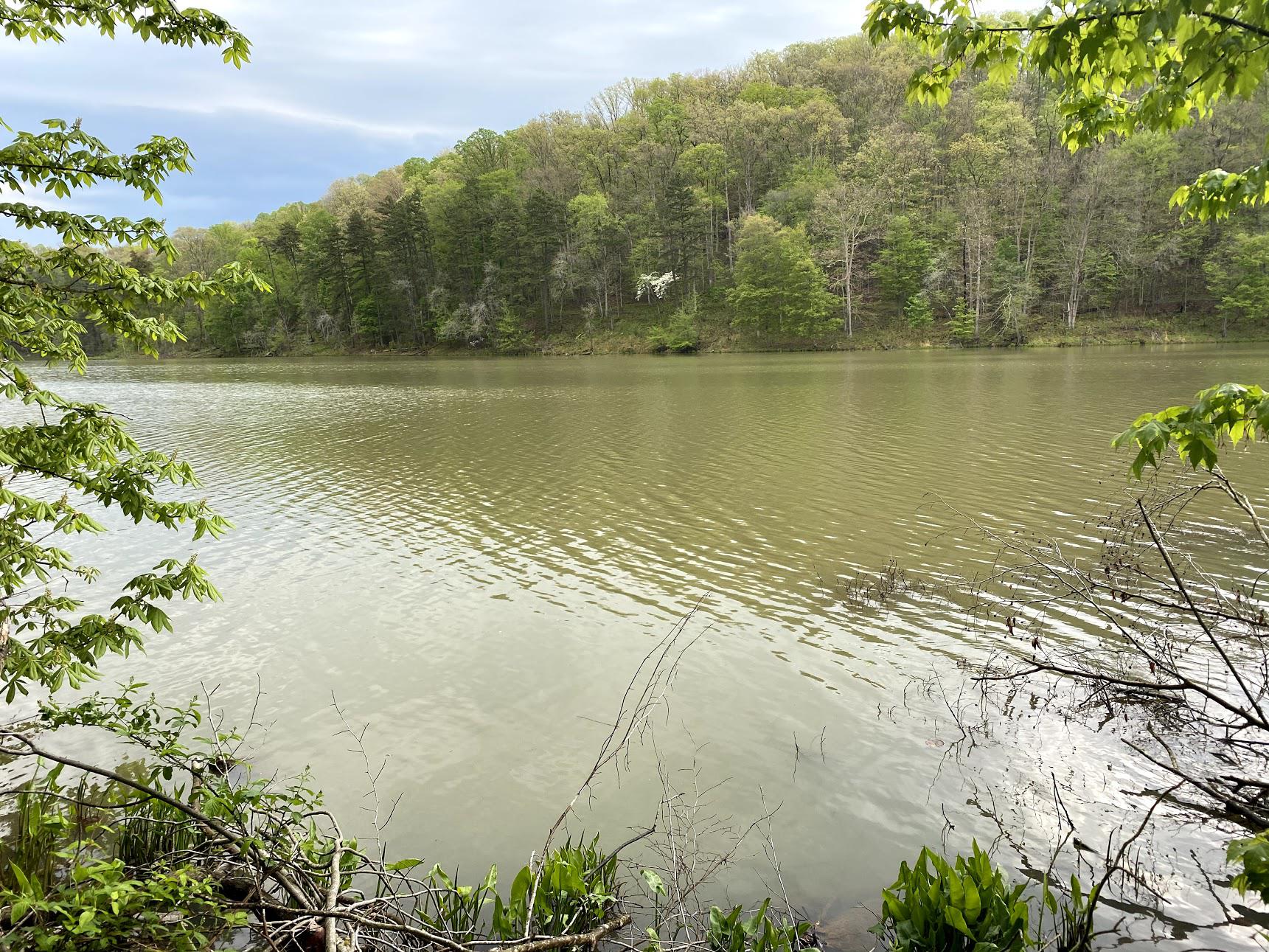 Lake Vesuvius Backpacking Trail in Wayne National Forest, Ohio r