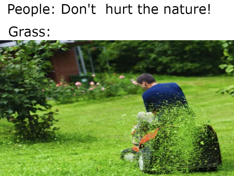Grass Meme