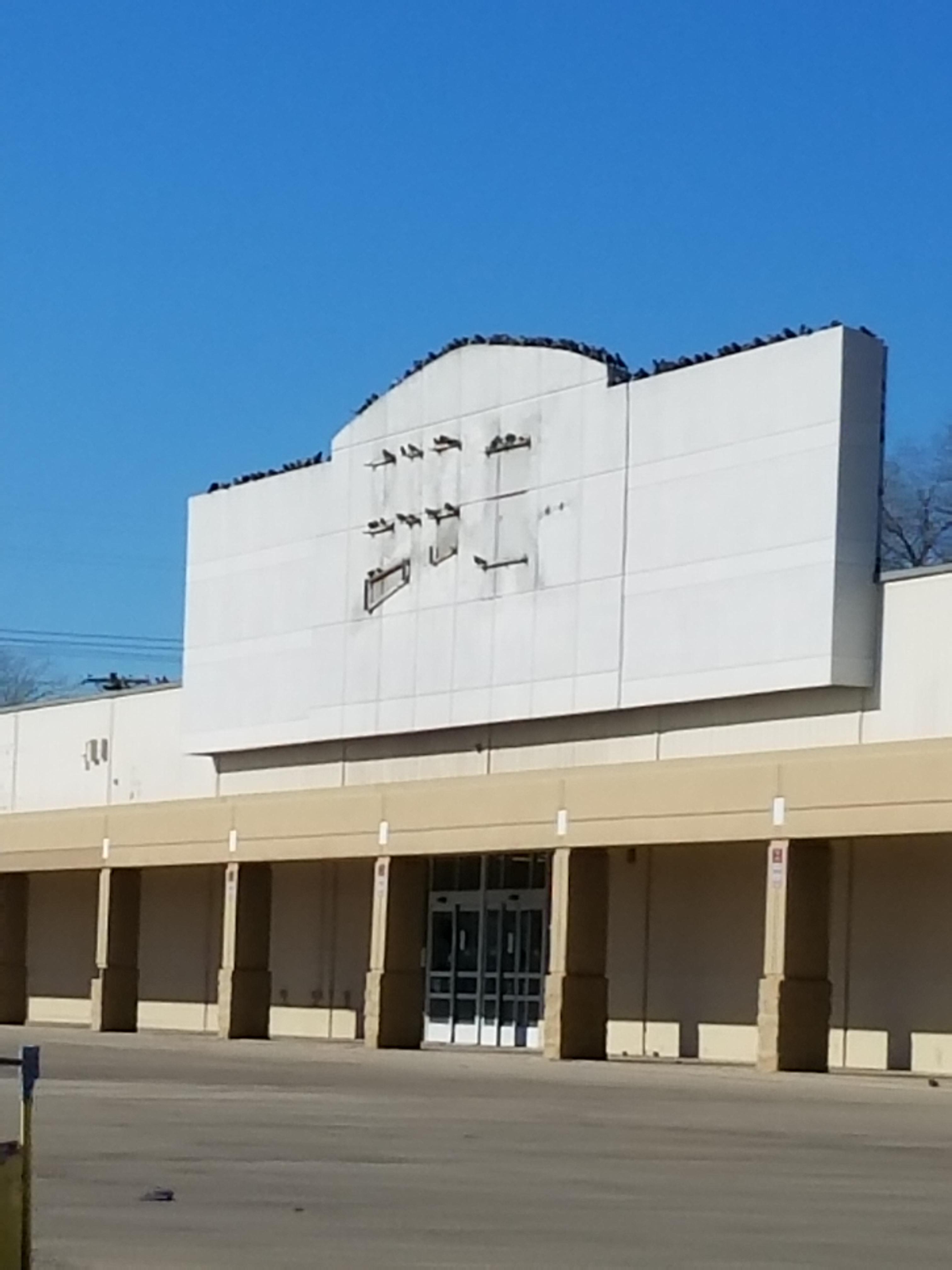 KMart has really gone to the birds... r/funny