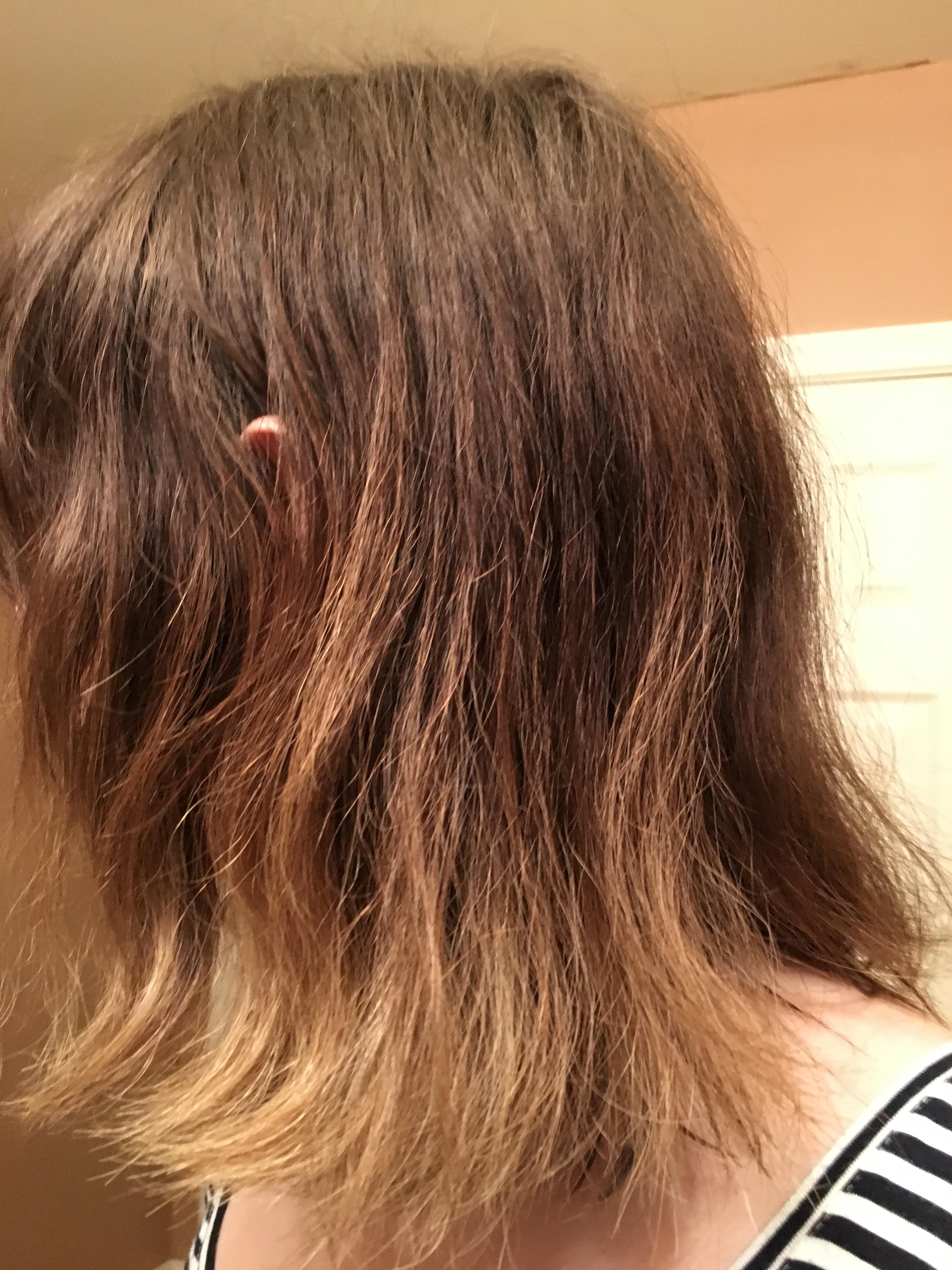 [Help] My hair looks so dry and dull. What products, care or even cuts