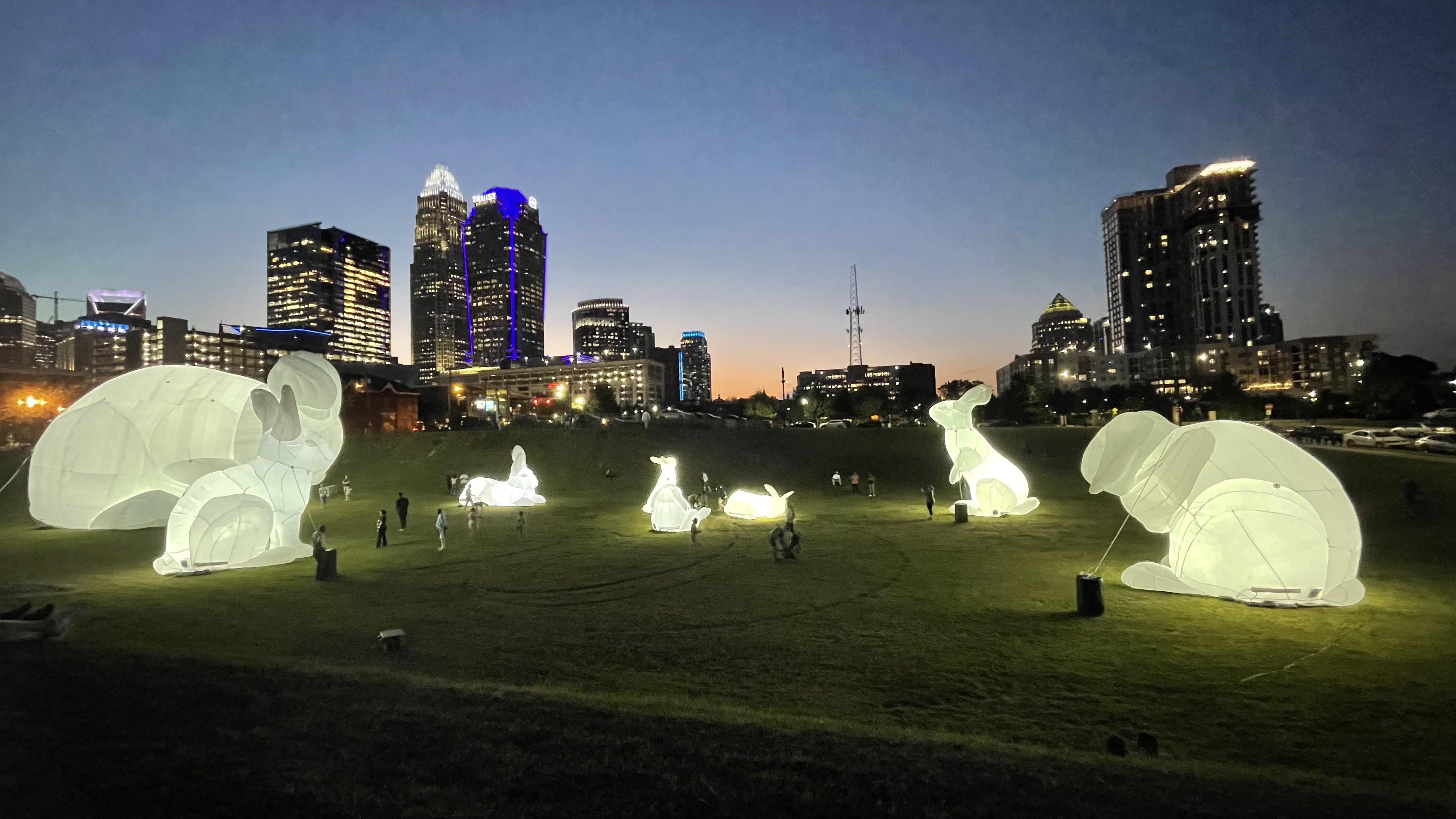 The giant bunnies at sunset r/Charlotte