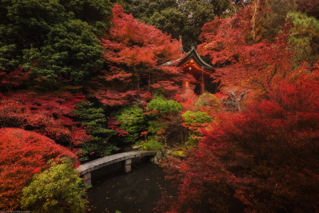 ???? Autumn colors in Japan r/NatureIsFuckingLit