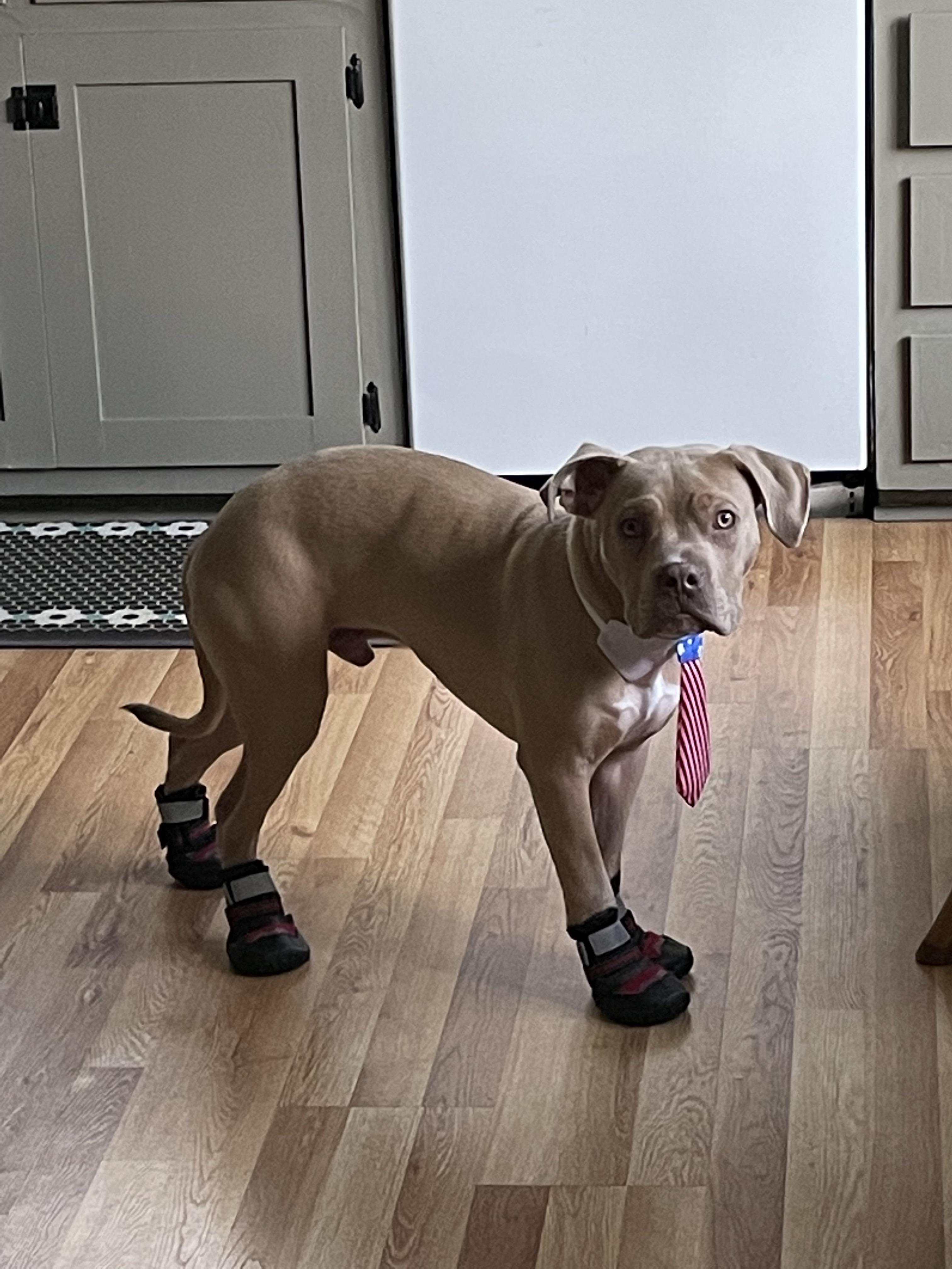 My babes ready for the beach for Memorial Day weekend. Shoes didn’t