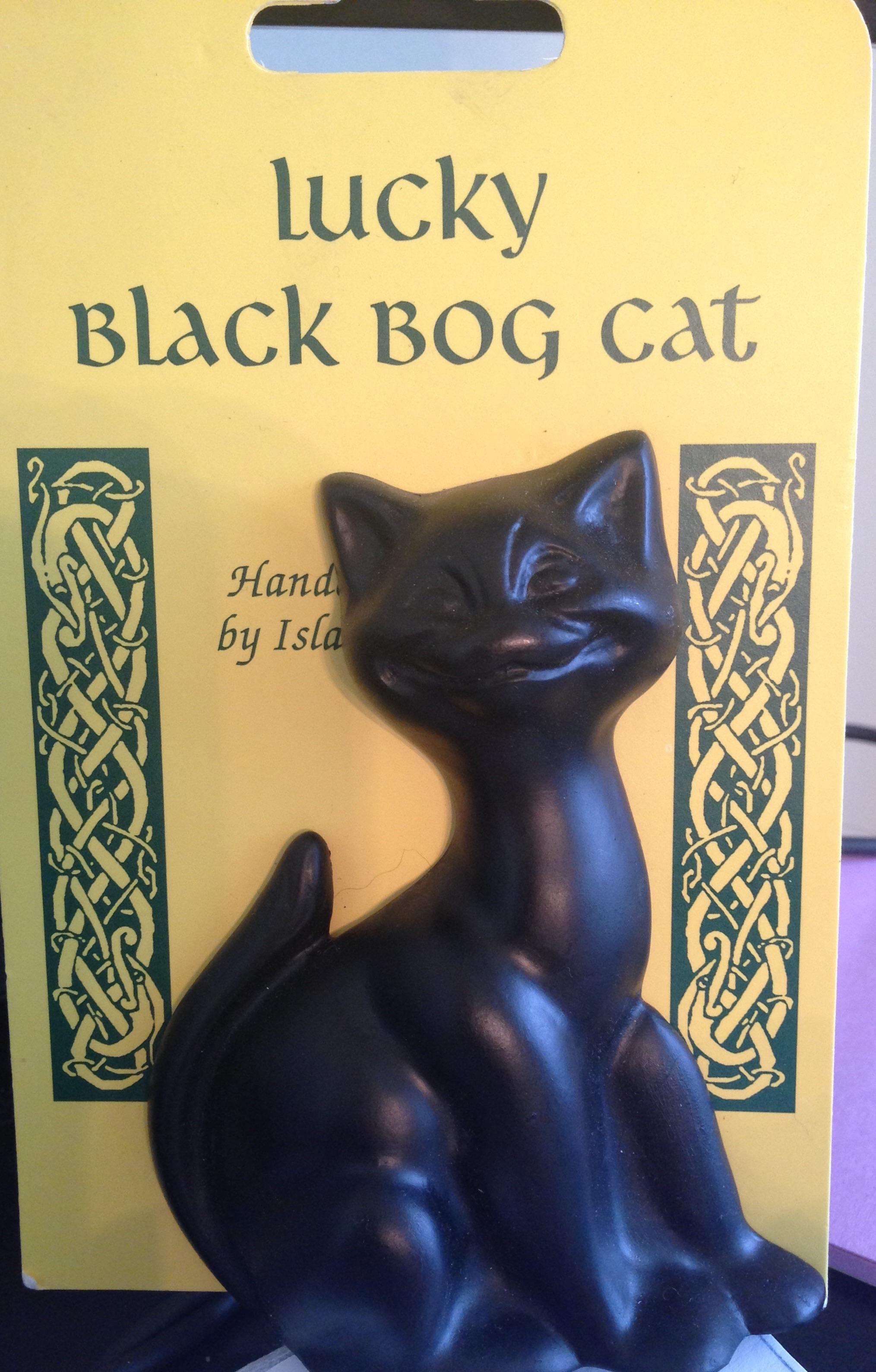 The Irish have got it right—black cats are good luck. Story of the