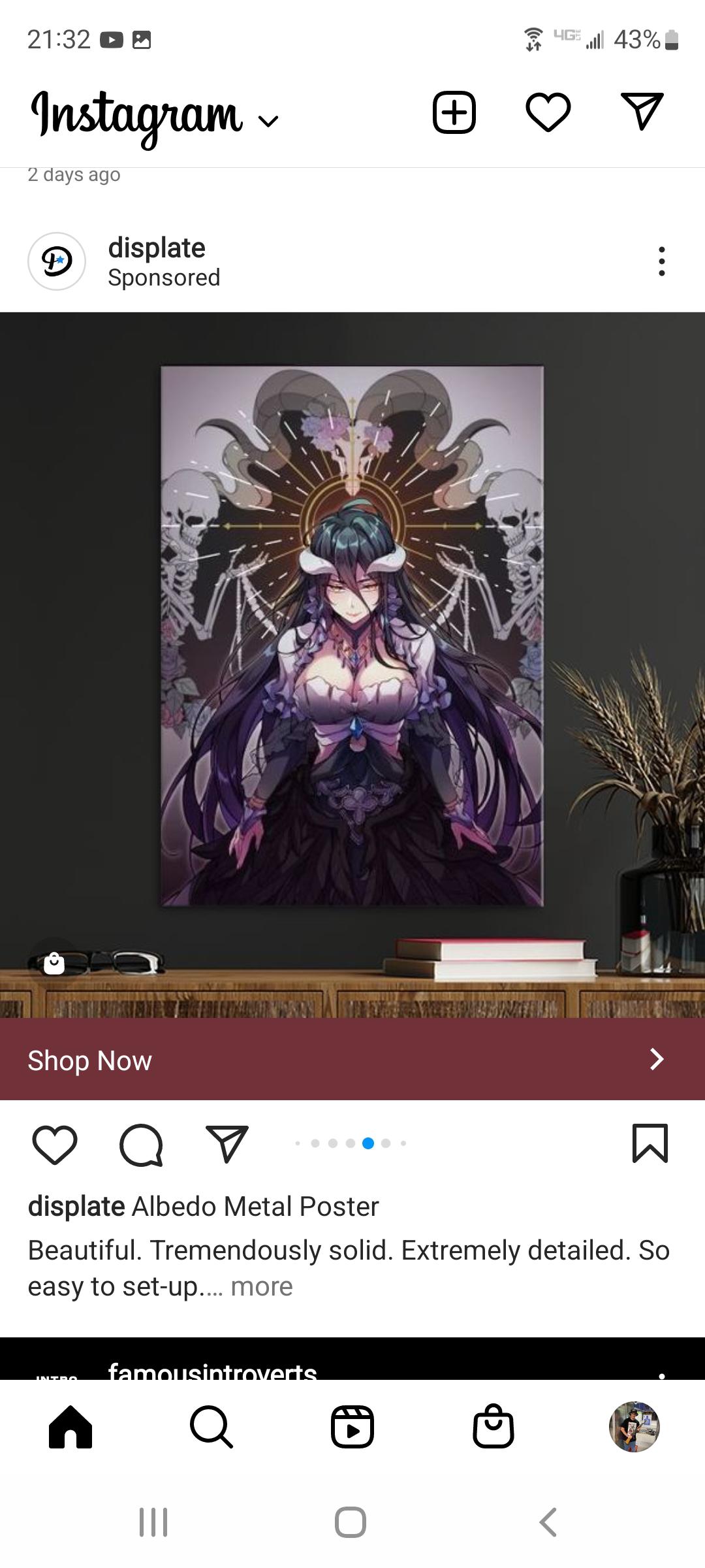 Albedo wall art advertised on Instagram. r/Albedo