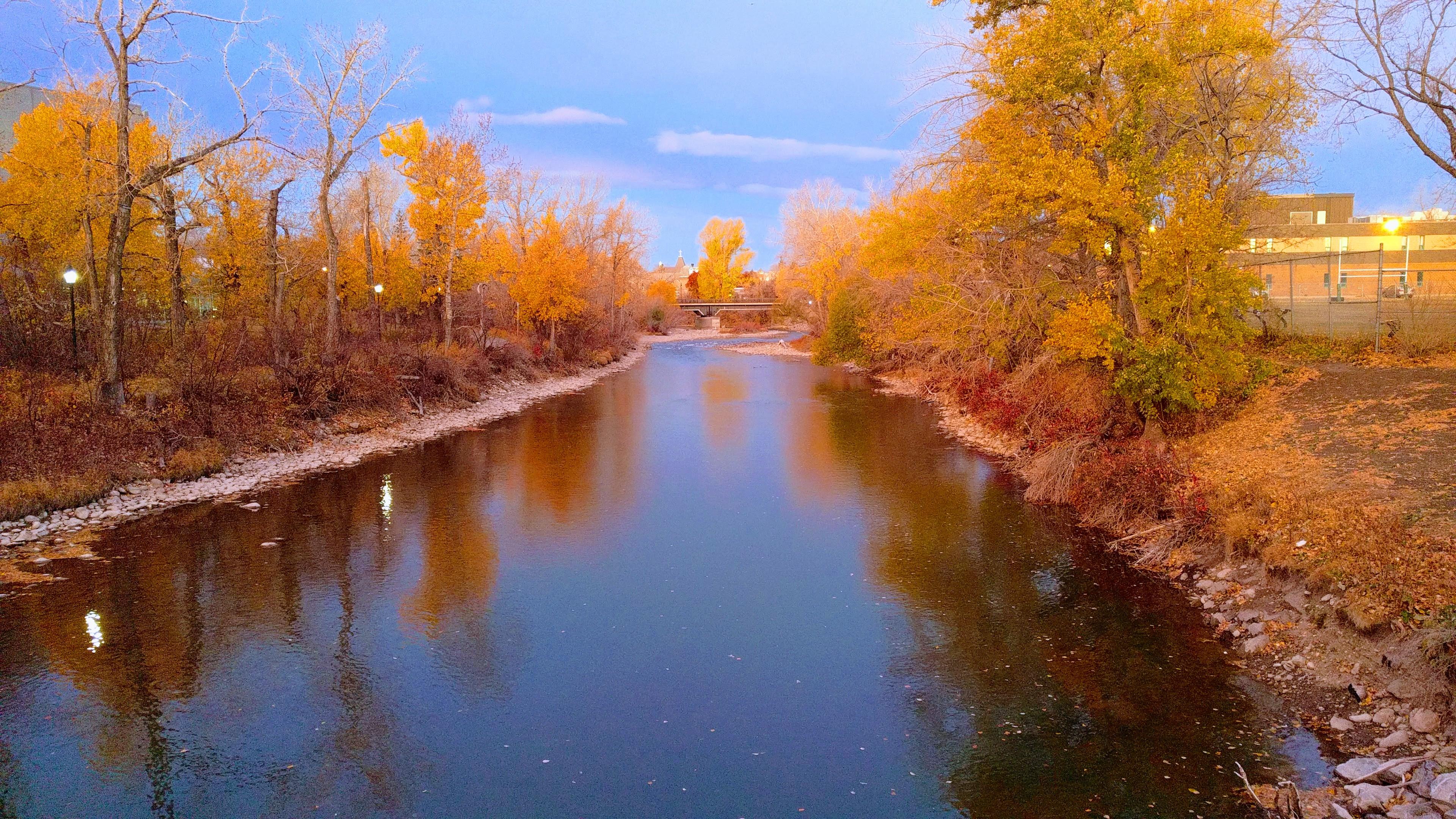 Near Macleod Trail r/Calgary