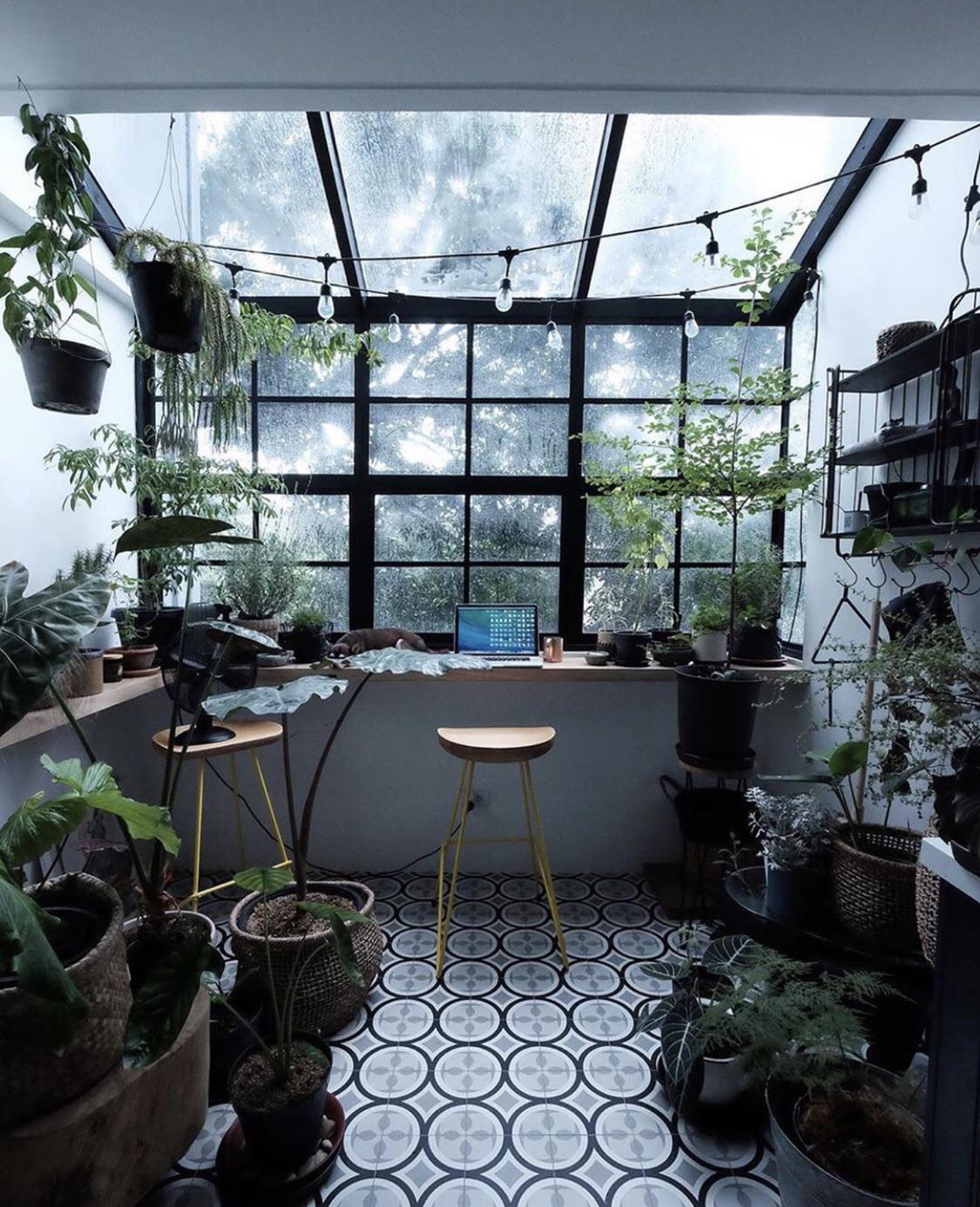 Mini greenhouse / office r/houseplants