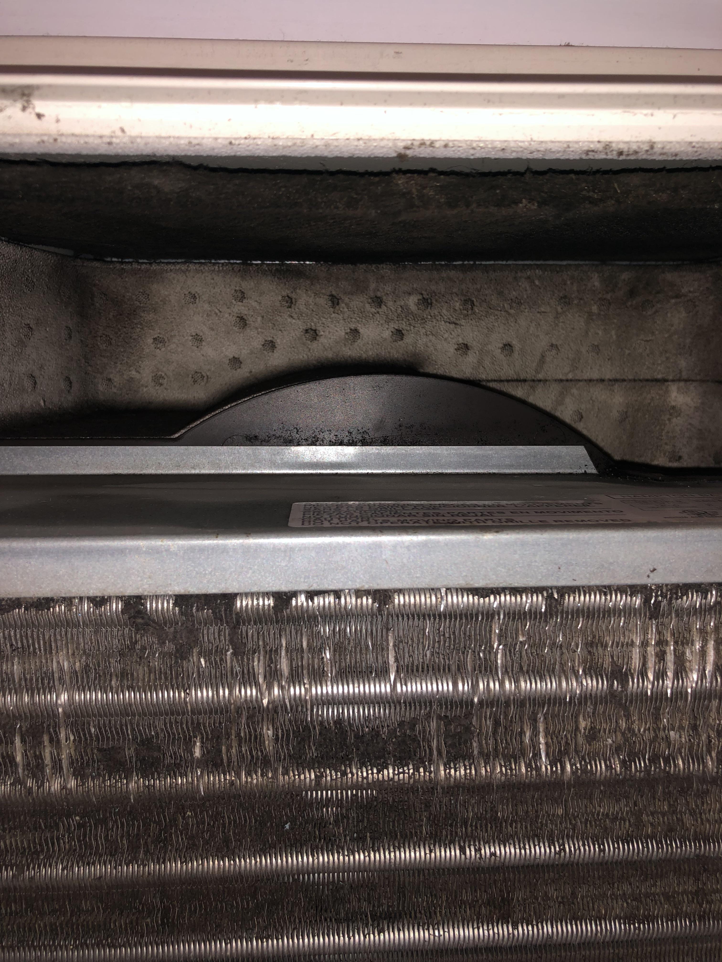 I sprayed inside of window unit with Lysol. Will that kill active