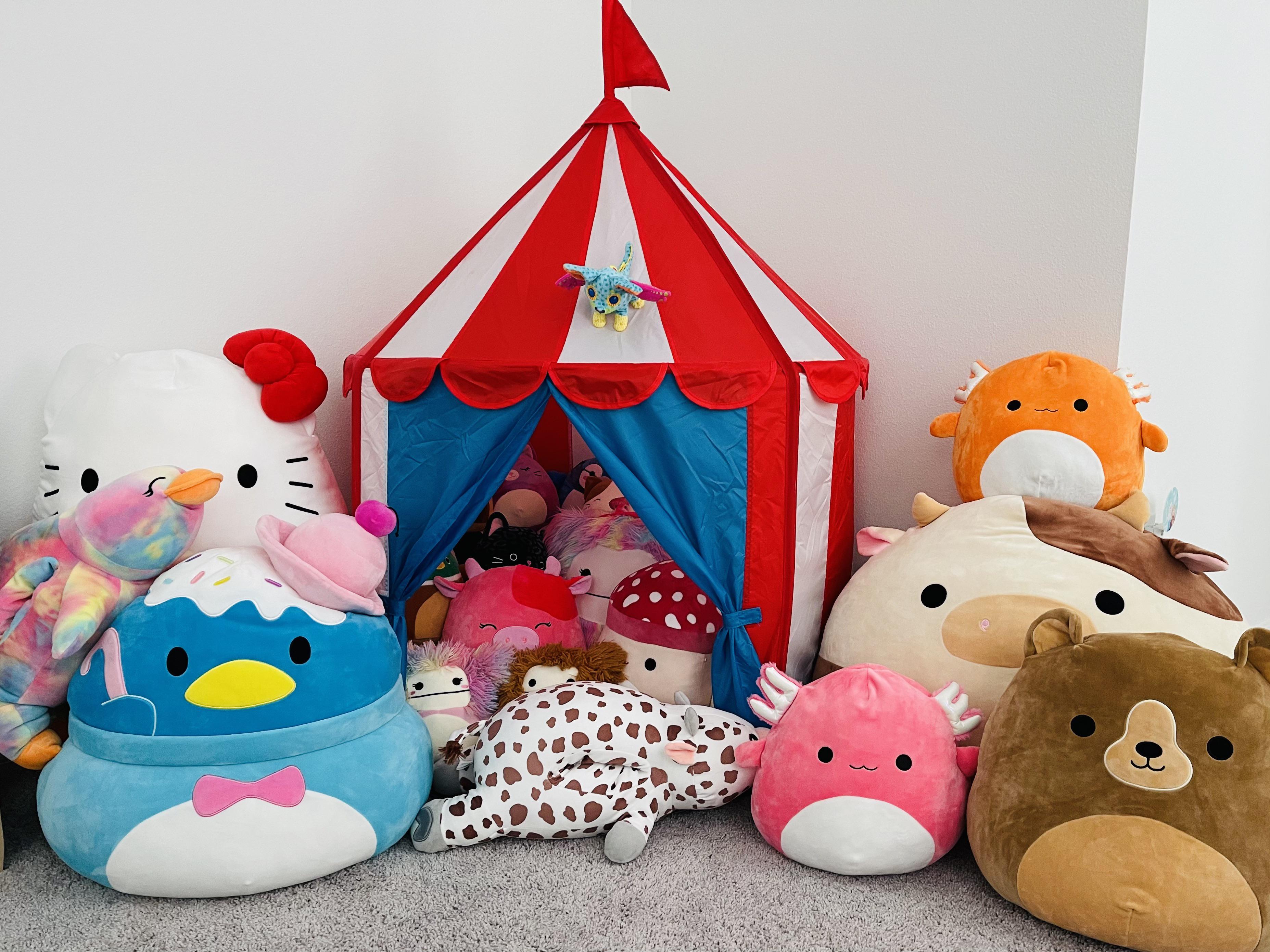 Where I store “my daughter’s” Squishmallows. She loves going in there