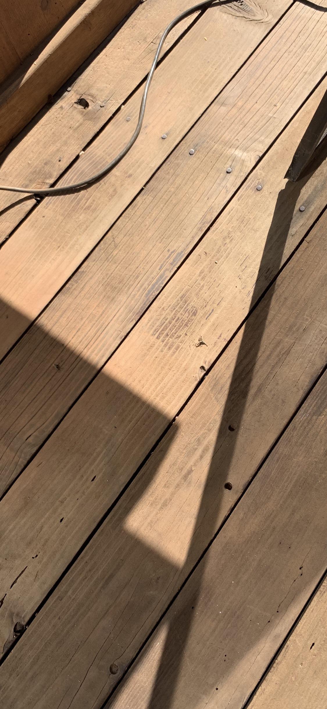 Anyone know what type of wood this is? r/finishing
