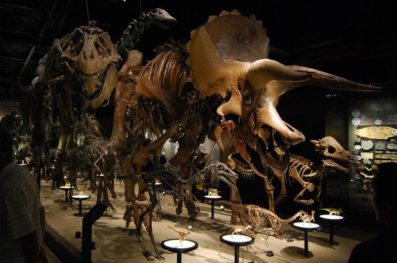 dinosaurs in japan r/Dinosaurs