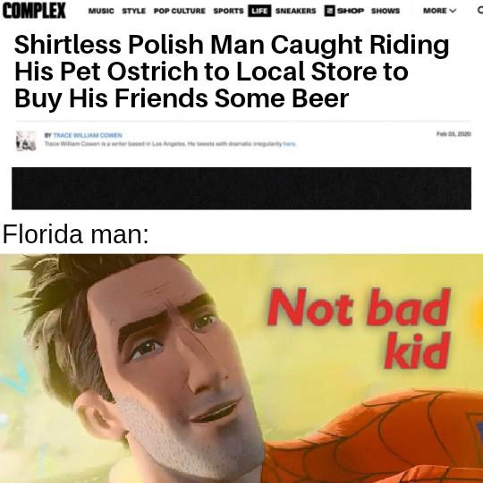 Poland learning quick r/memes