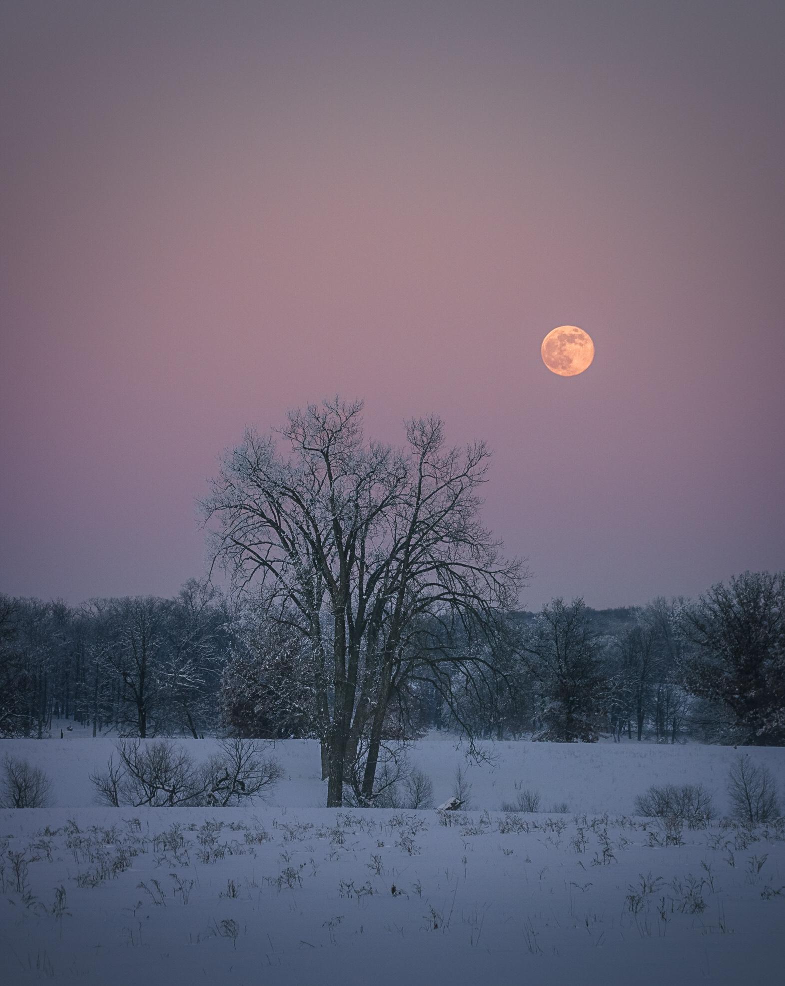 Midwest winters are cold, but they’re also beautiful! May Township