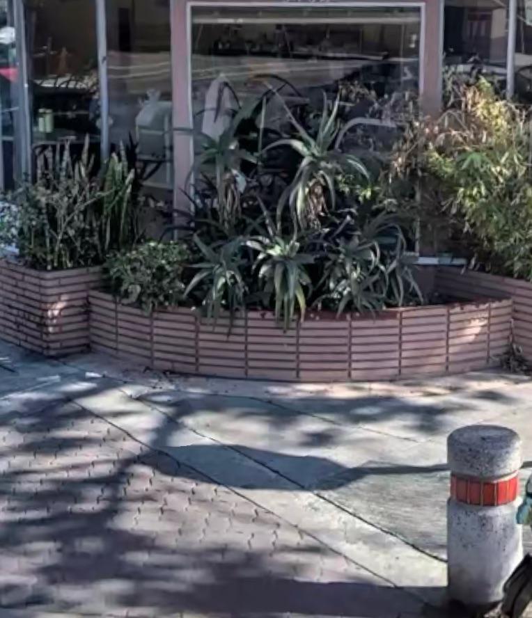 Help Out A Complete Novice, How Do I Remove That Greenery? How Do I