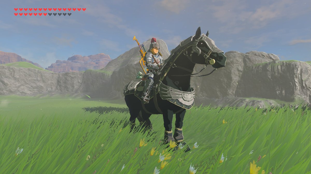 This Took way too long to get. Breath_of_the_Wild