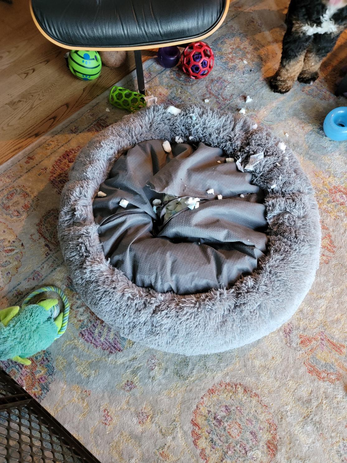 Lasted less than 20 minutes.... Item 1398143, 34.99, Canine Creations