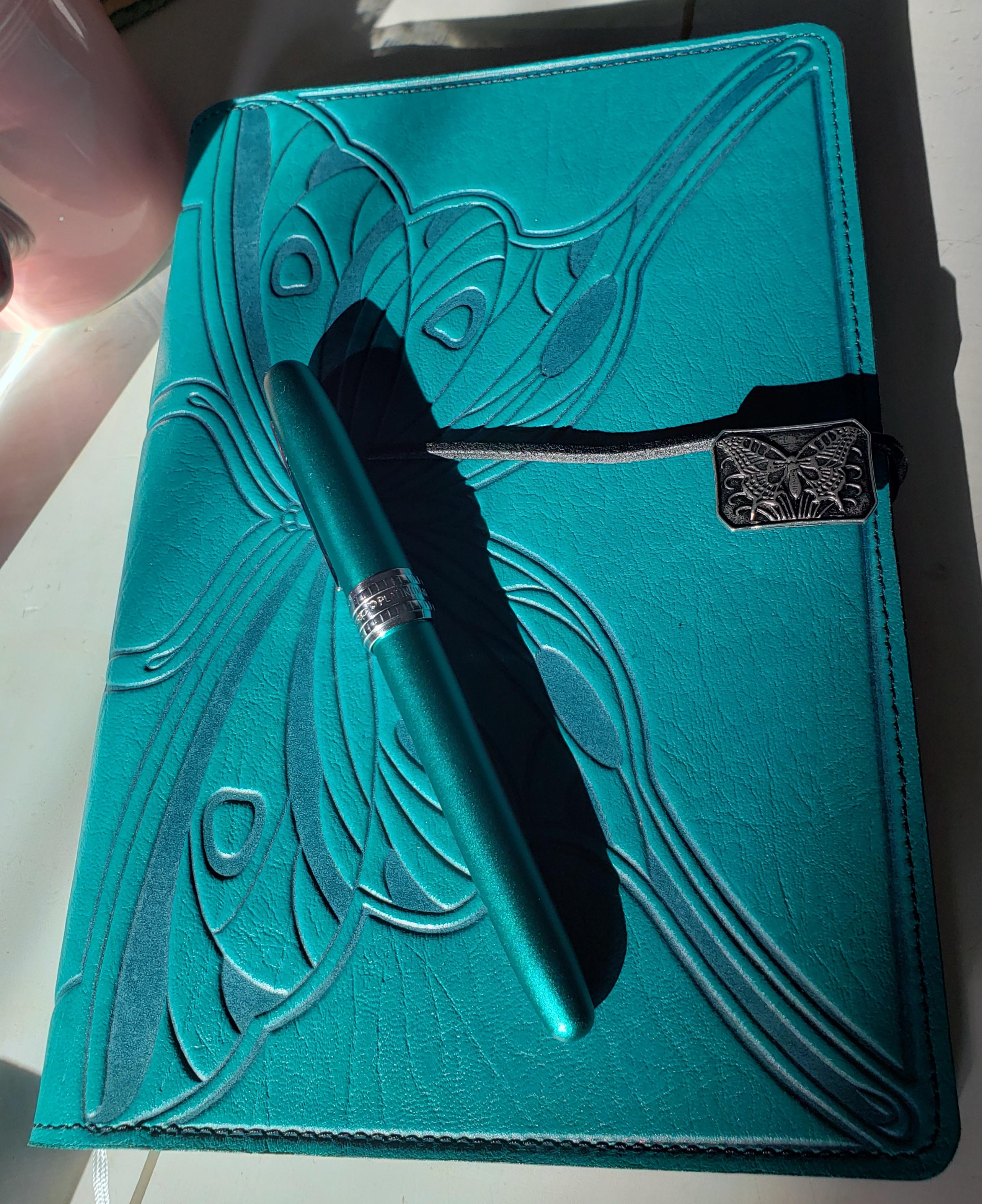 Plaisir Pen (Real) and Oberon journal cover r/fountainpens