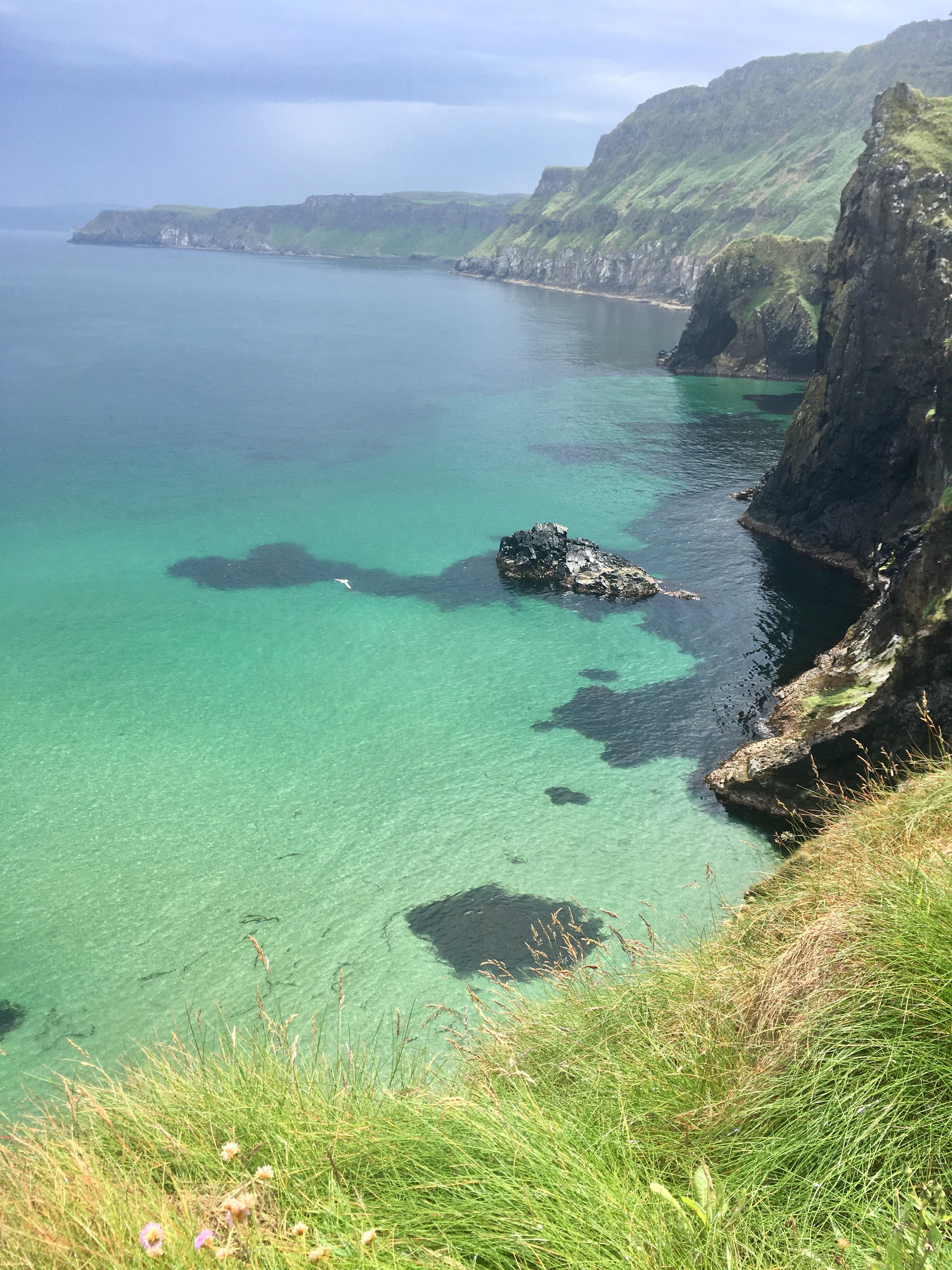 Reddit Dive into anything