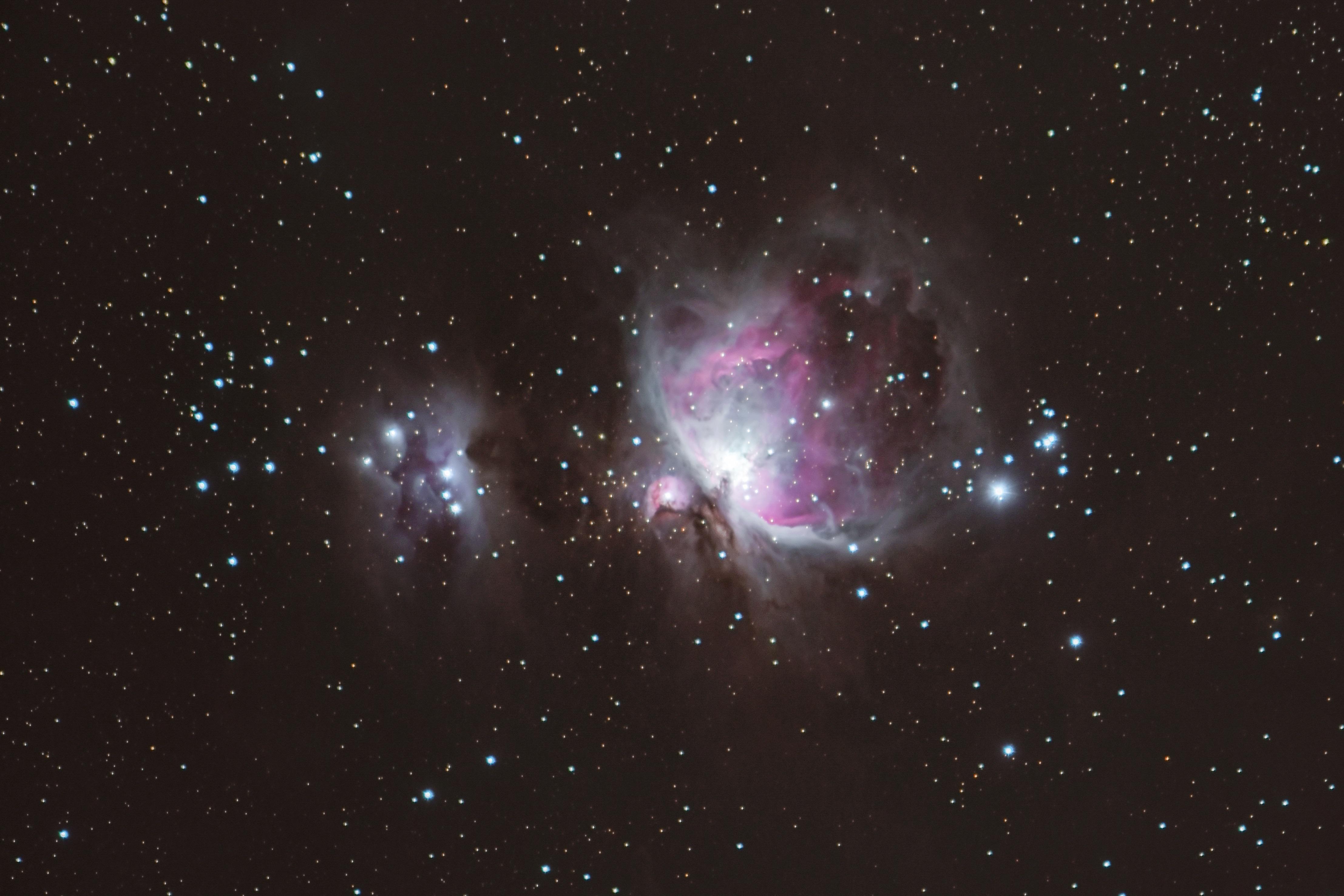 Orion Nebula with Nikon D7500 r/astrophotography