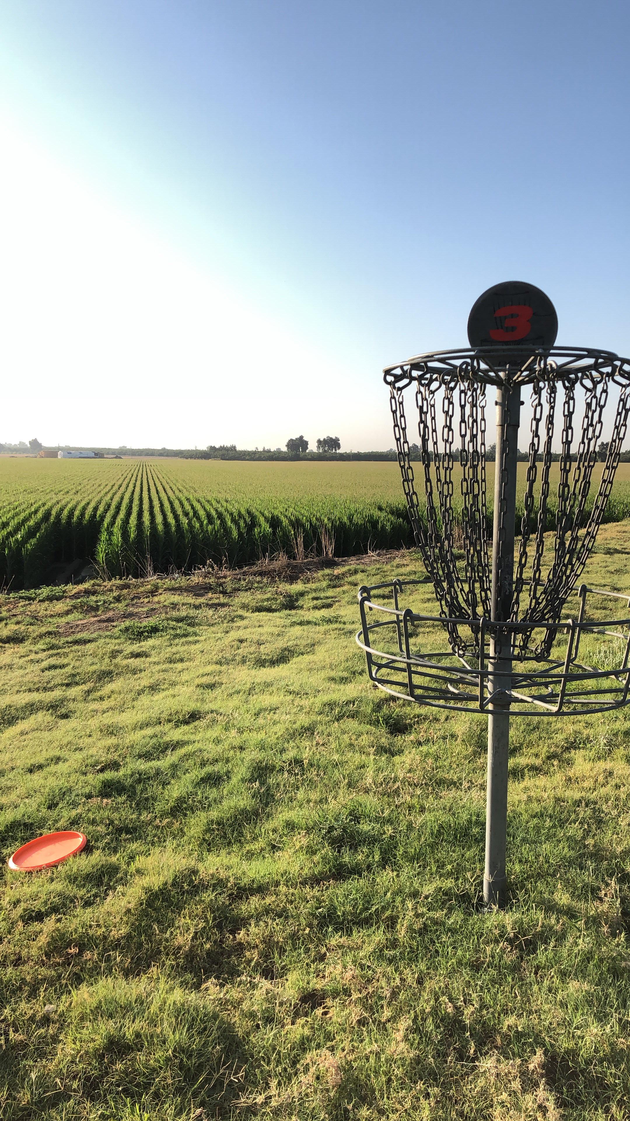 Hole 3 at the Perry Outback course in Visalia, CA. r/discgolf