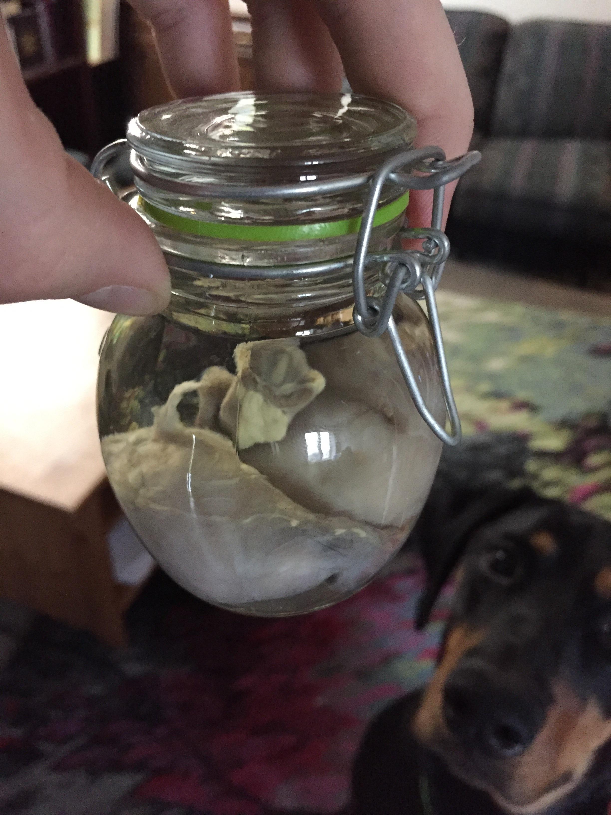These are my dogs balls preserved and floating in distilled water. I