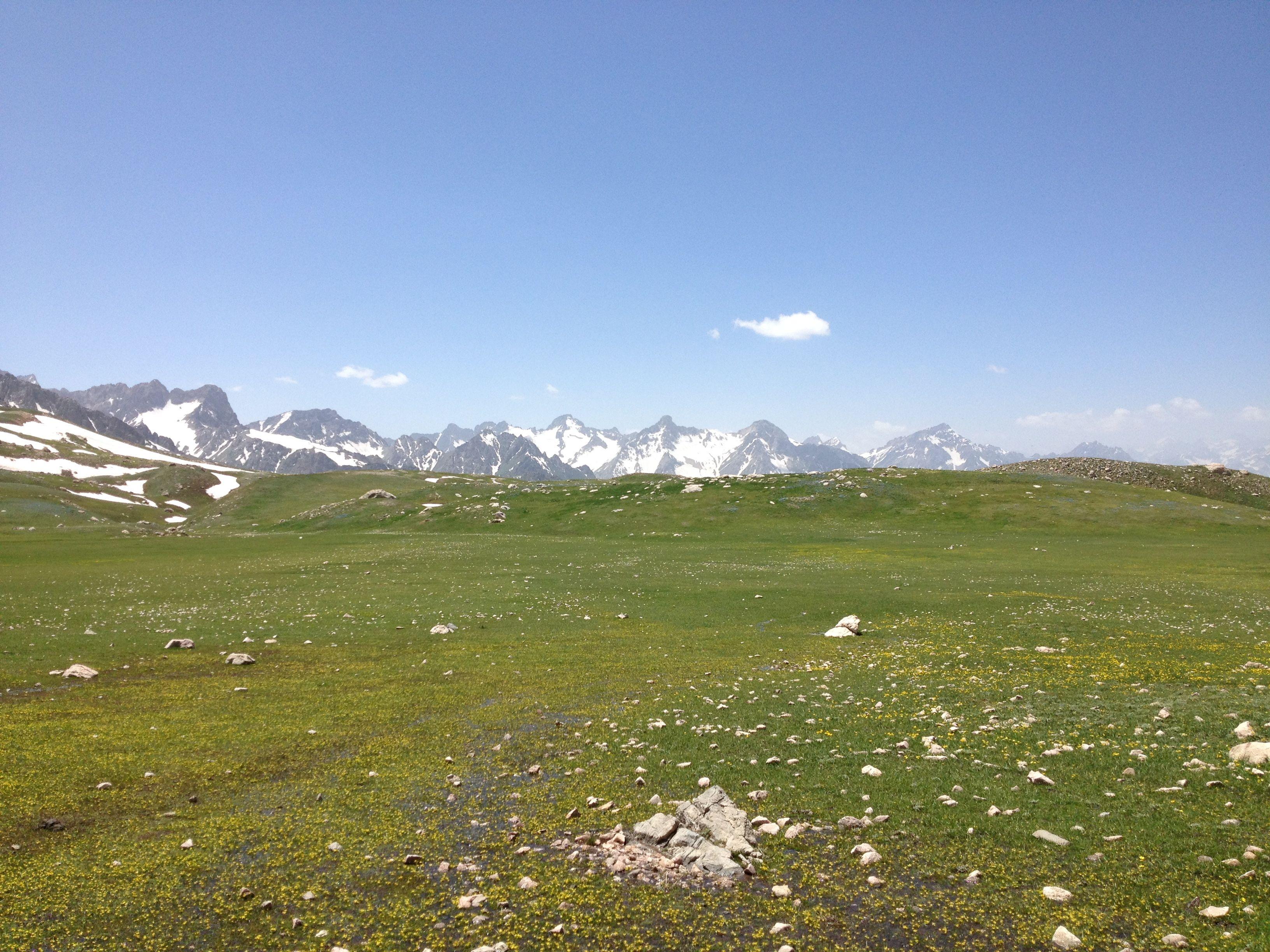 Mountain meadow North of Dushanbe, Tajikistan. (OC) [3264x2448] r